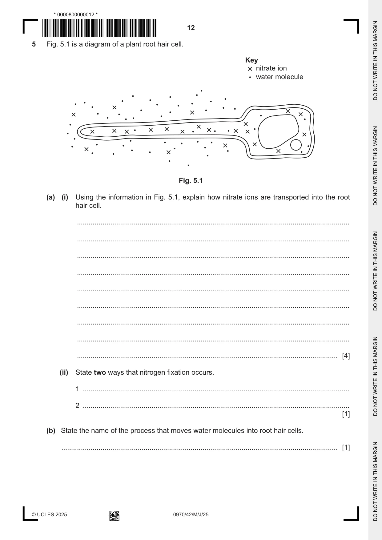Cambridge IGCSE Biology (9-1) 0970 2025 May/June Paper 4 · Variant 2 question paper, page 12 of 16