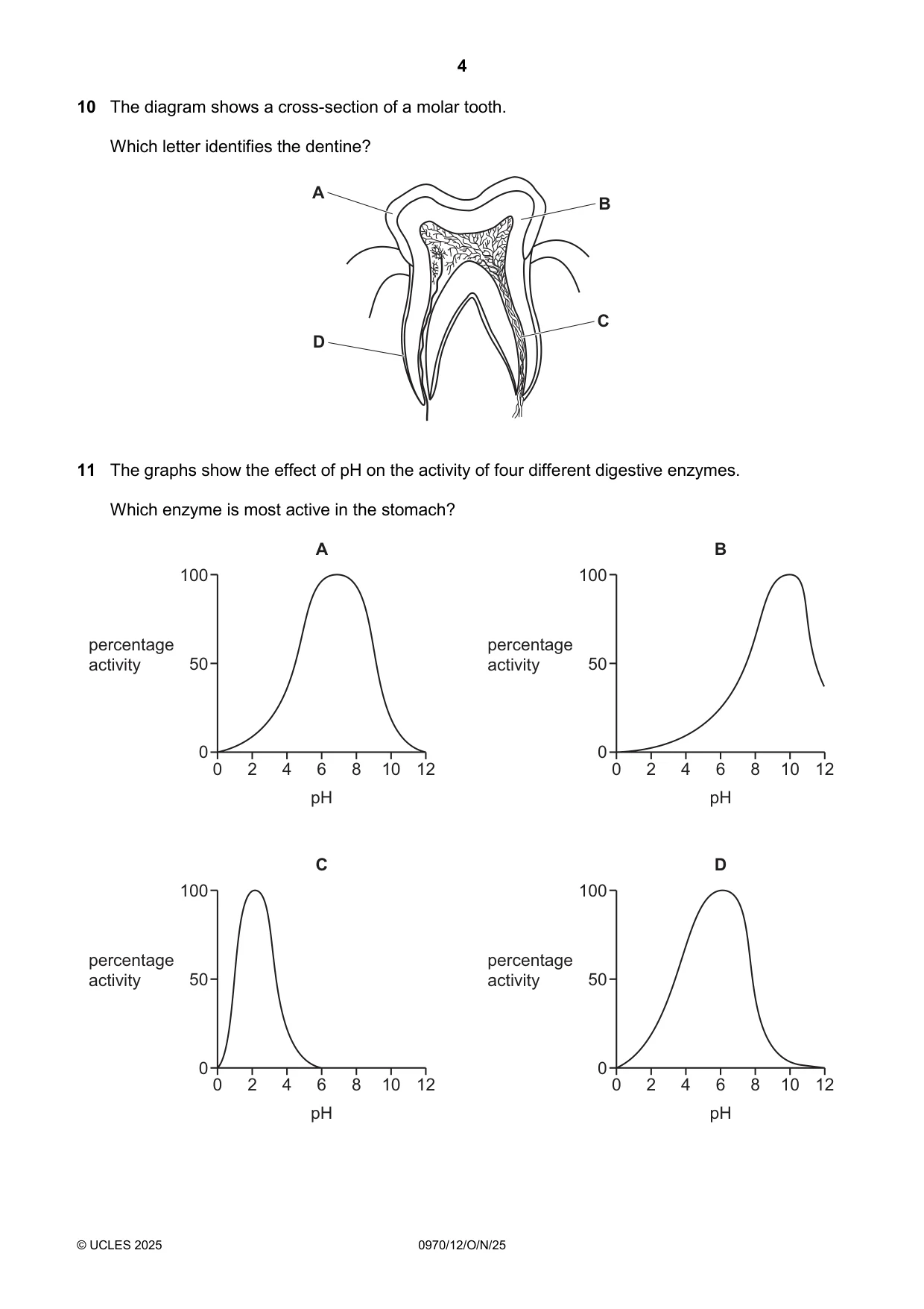 Cambridge IGCSE Biology (9-1) 0970 2025 Oct/Nov Paper 1 · Variant 2 question paper, page 4 of 16
