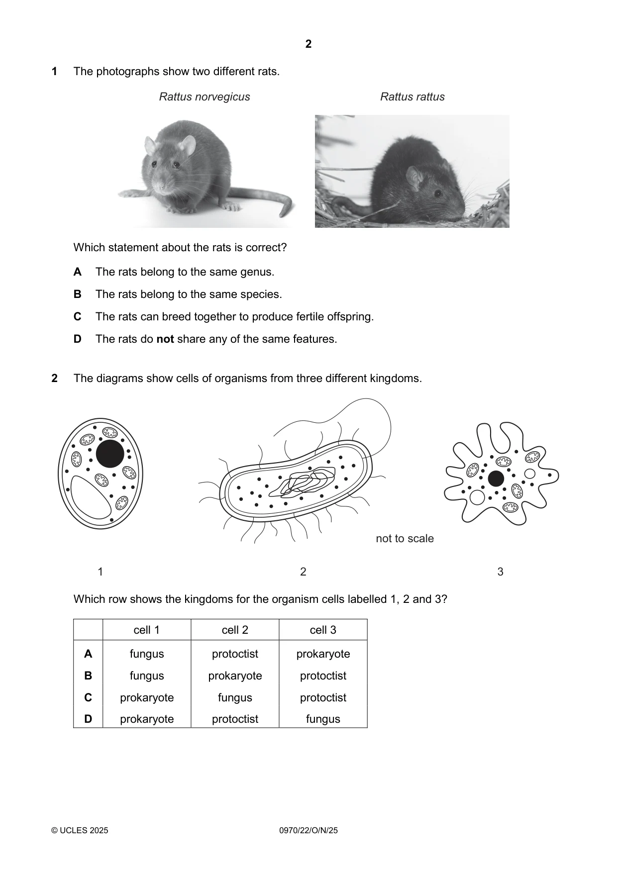 Cambridge IGCSE Biology (9-1) 0970 2025 Oct/Nov Paper 2 · Variant 2 question paper, page 2 of 16