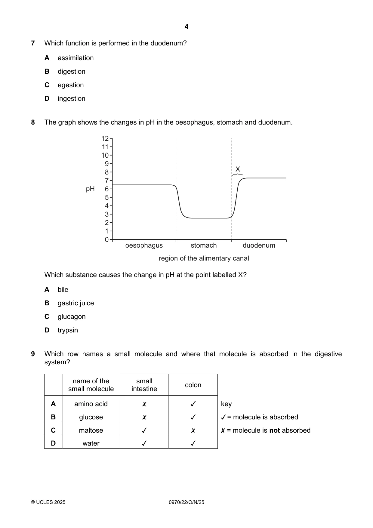 Cambridge IGCSE Biology (9-1) 0970 2025 Oct/Nov Paper 2 · Variant 2 question paper, page 4 of 16
