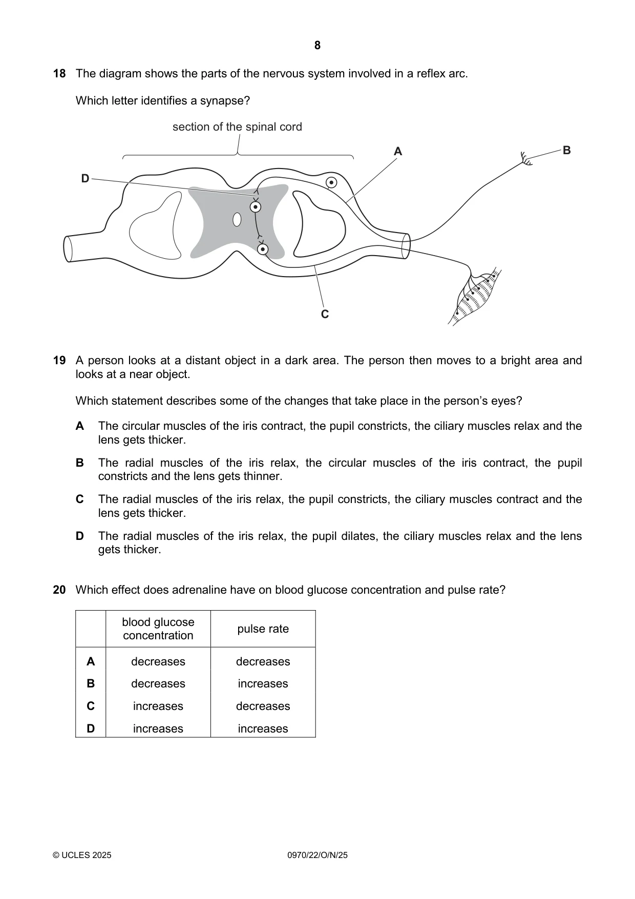 Cambridge IGCSE Biology (9-1) 0970 2025 Oct/Nov Paper 2 · Variant 2 question paper, page 8 of 16