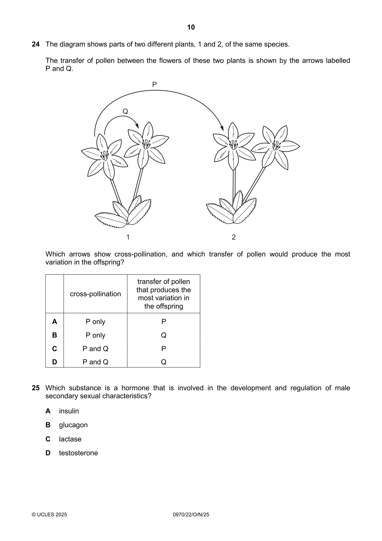 Cambridge IGCSE Biology (9-1) 0970 2025 Oct/Nov Paper 2 · Variant 2 question paper, page 10 of 16