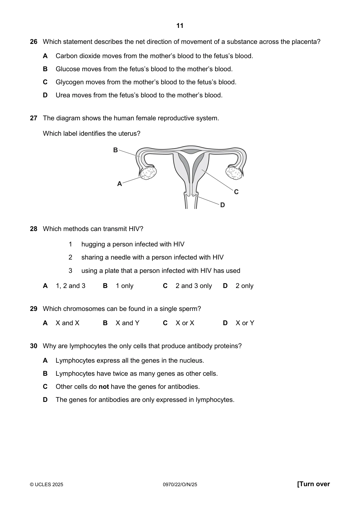Cambridge IGCSE Biology (9-1) 0970 2025 Oct/Nov Paper 2 · Variant 2 question paper, page 11 of 16