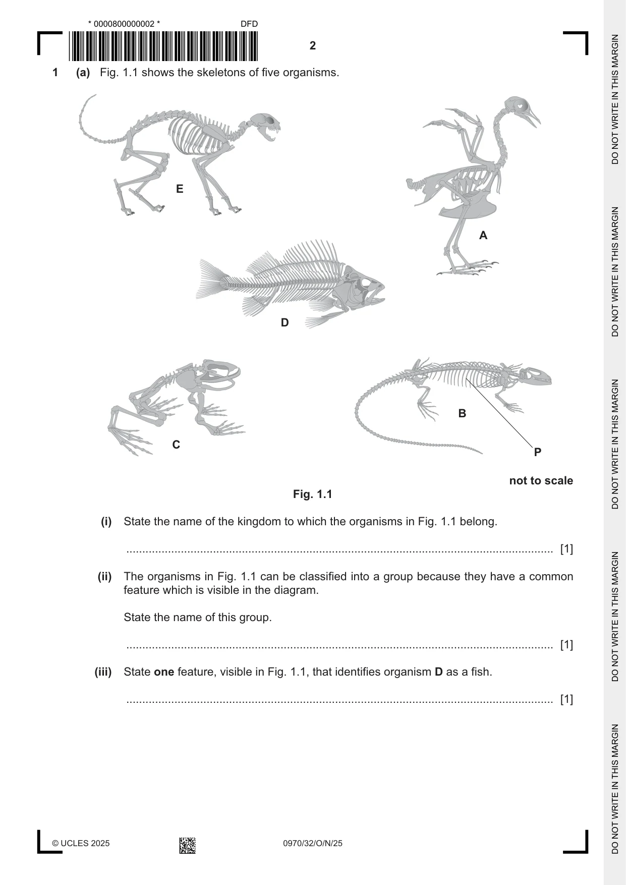 Cambridge IGCSE Biology (9-1) 0970 2025 Oct/Nov Paper 3 · Variant 2 question paper, page 2 of 20