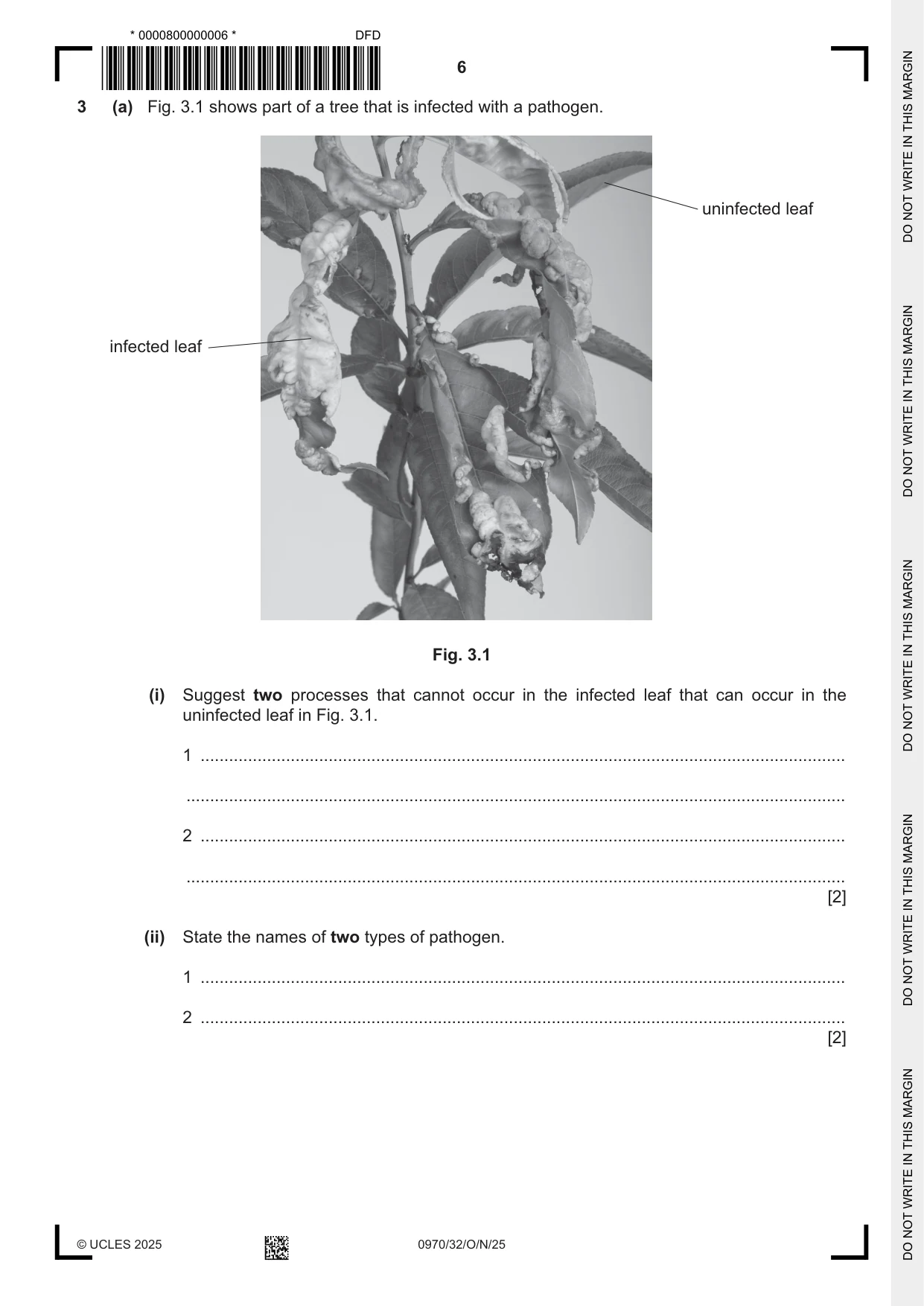 Cambridge IGCSE Biology (9-1) 0970 2025 Oct/Nov Paper 3 · Variant 2 question paper, page 6 of 20