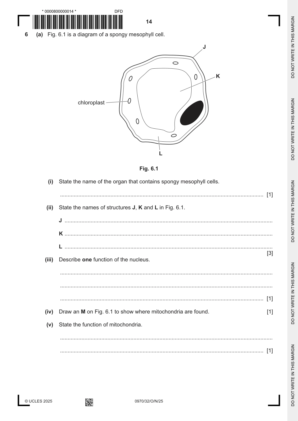 Cambridge IGCSE Biology (9-1) 0970 2025 Oct/Nov Paper 3 · Variant 2 question paper, page 14 of 20