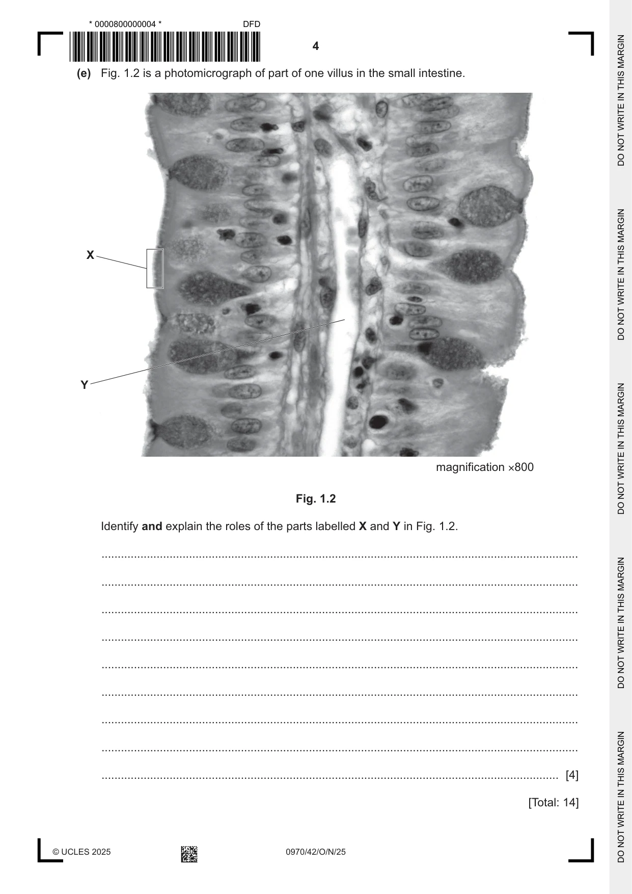 Cambridge IGCSE Biology (9-1) 0970 2025 Oct/Nov Paper 4 · Variant 2 question paper, page 4 of 20