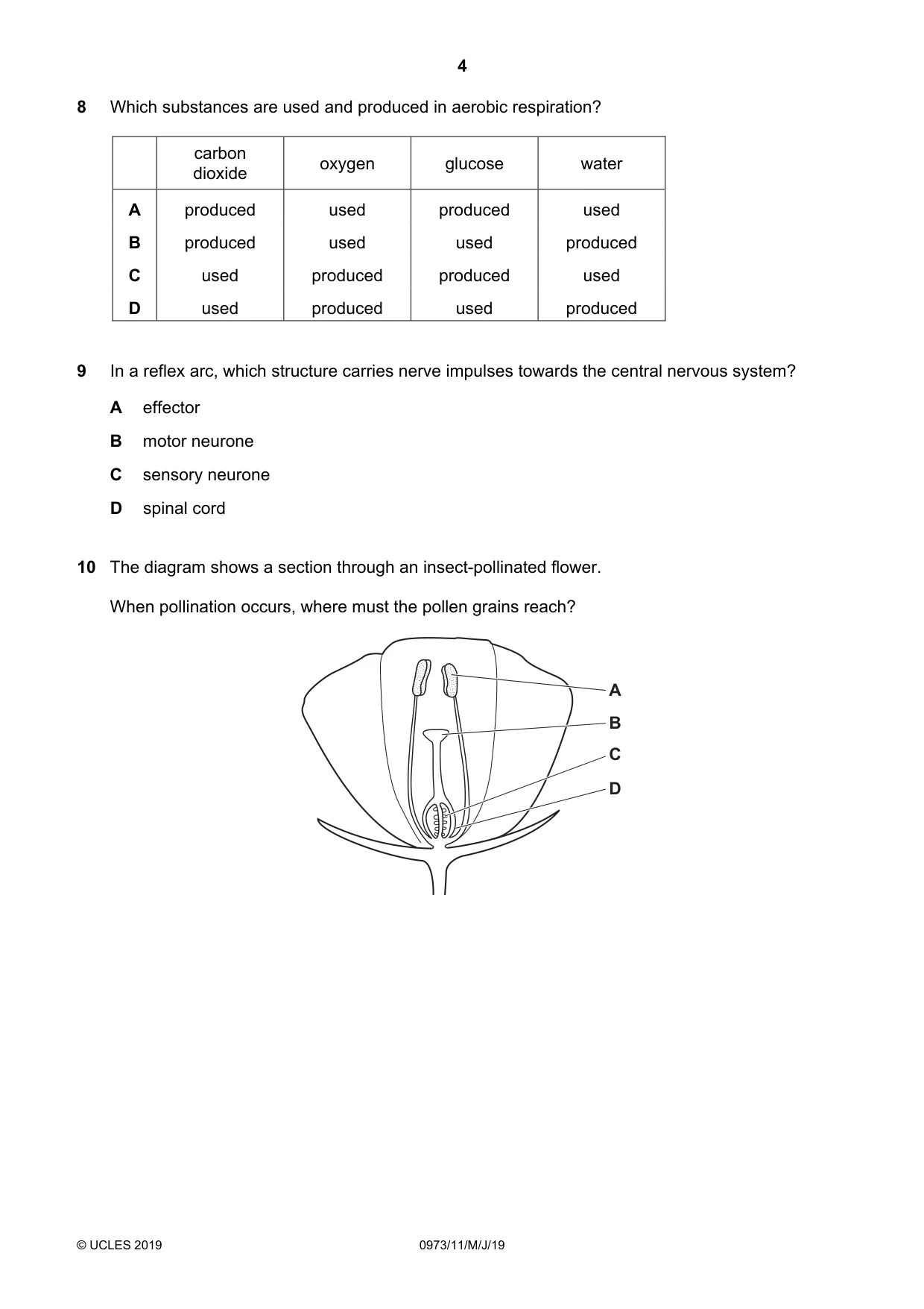 Cambridge IGCSE Sciences - Co-ordinated (9-1) 0973 2019 May/June Paper 1 · Variant 1 question paper, page 4 of 20