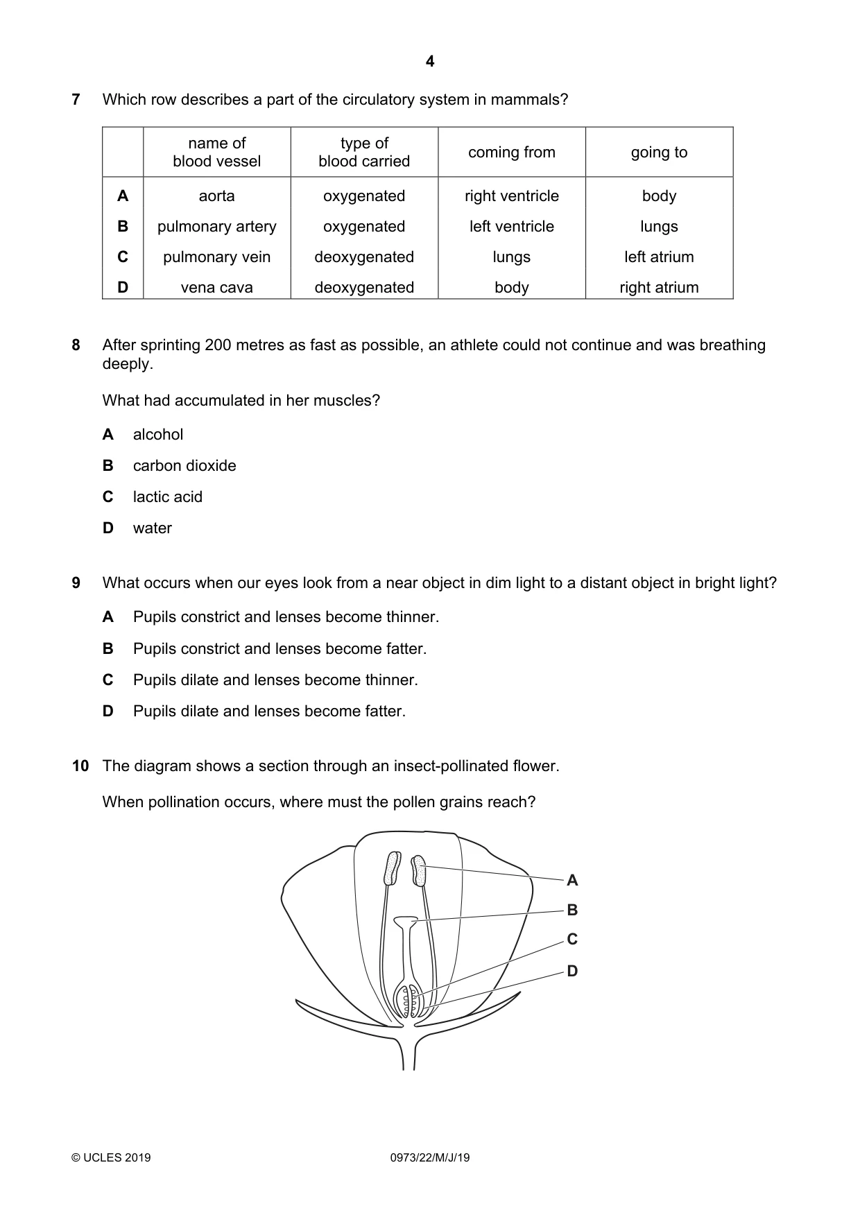 Cambridge IGCSE Sciences - Co-ordinated (9-1) 0973 2019 May/June Paper 2 · Variant 2 question paper, page 4 of 20