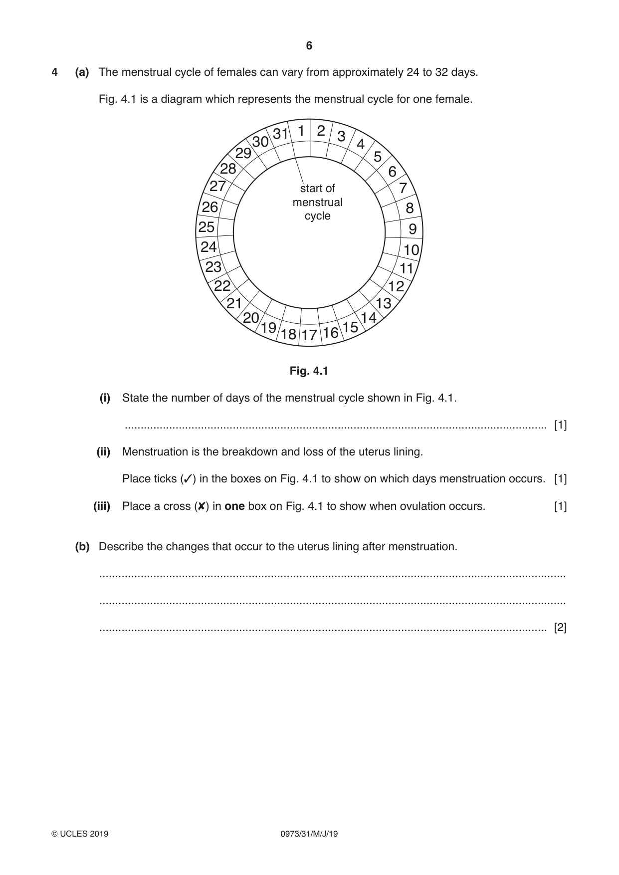 Cambridge IGCSE Sciences - Co-ordinated (9-1) 0973 2019 May/June Paper 3 · Variant 1 question paper, page 6 of 28