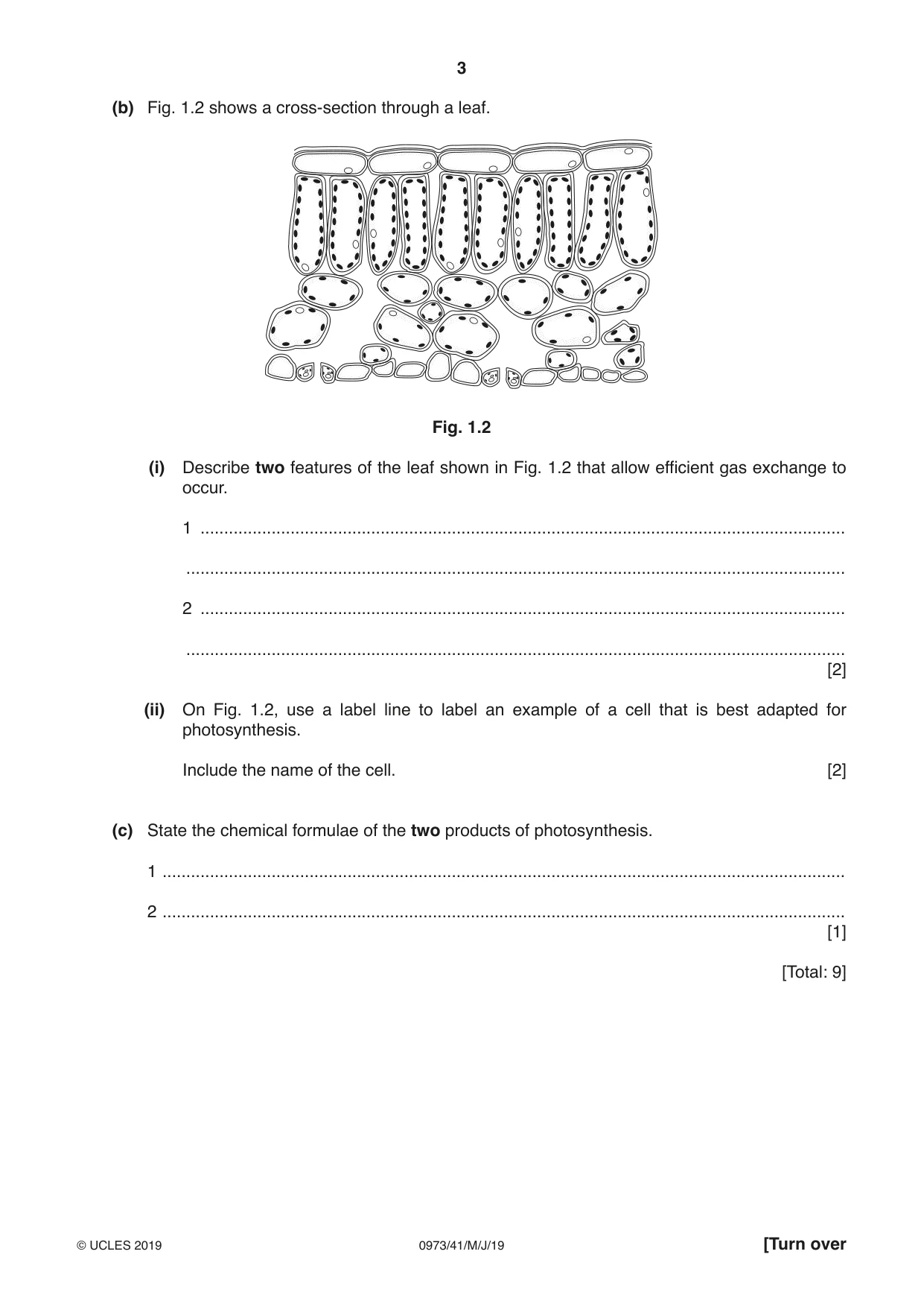 Cambridge IGCSE Sciences - Co-ordinated (9-1) 0973 2019 May/June Paper 4 · Variant 1 question paper, page 3 of 32