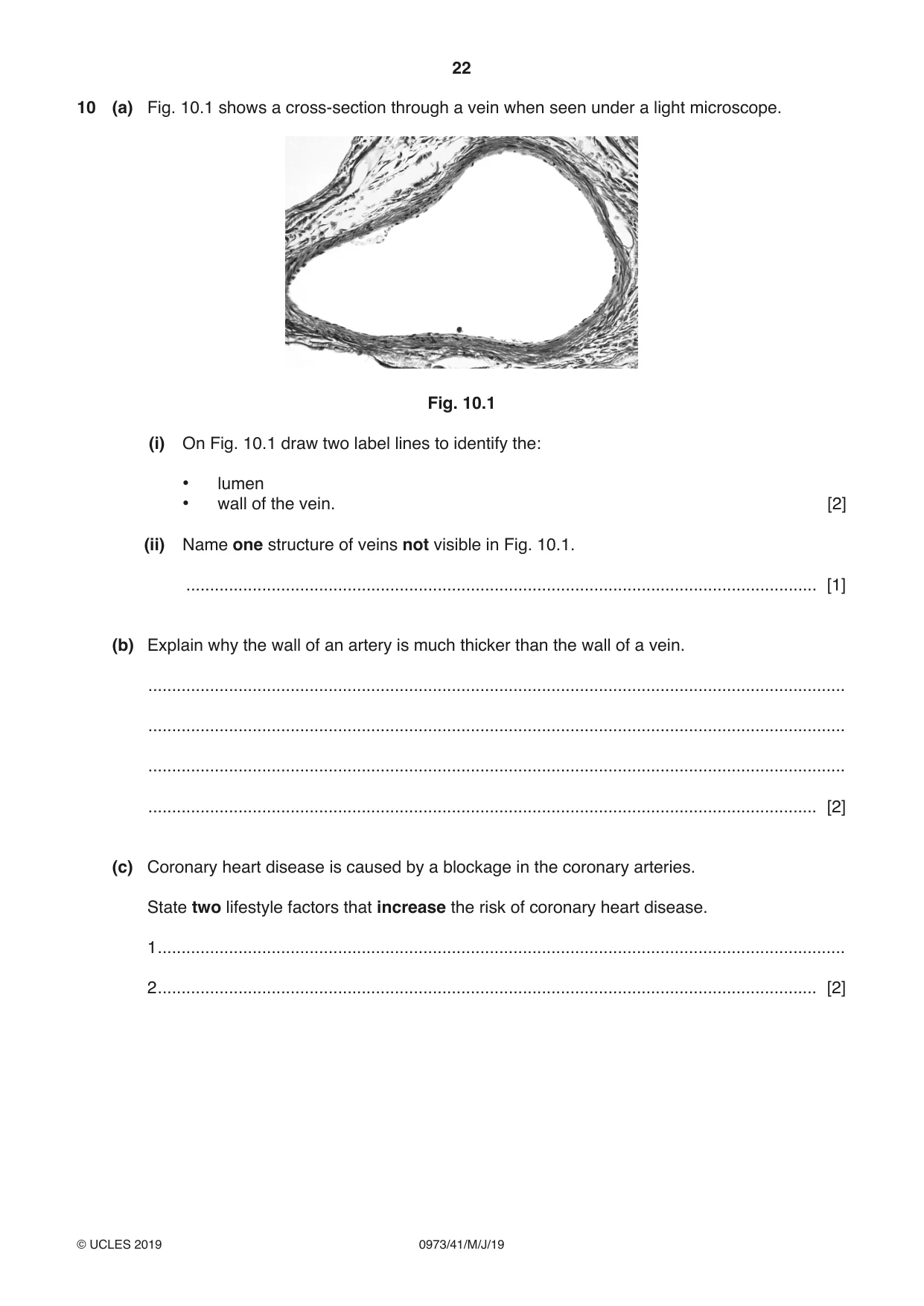 Cambridge IGCSE Sciences - Co-ordinated (9-1) 0973 2019 May/June Paper 4 · Variant 1 question paper, page 22 of 32