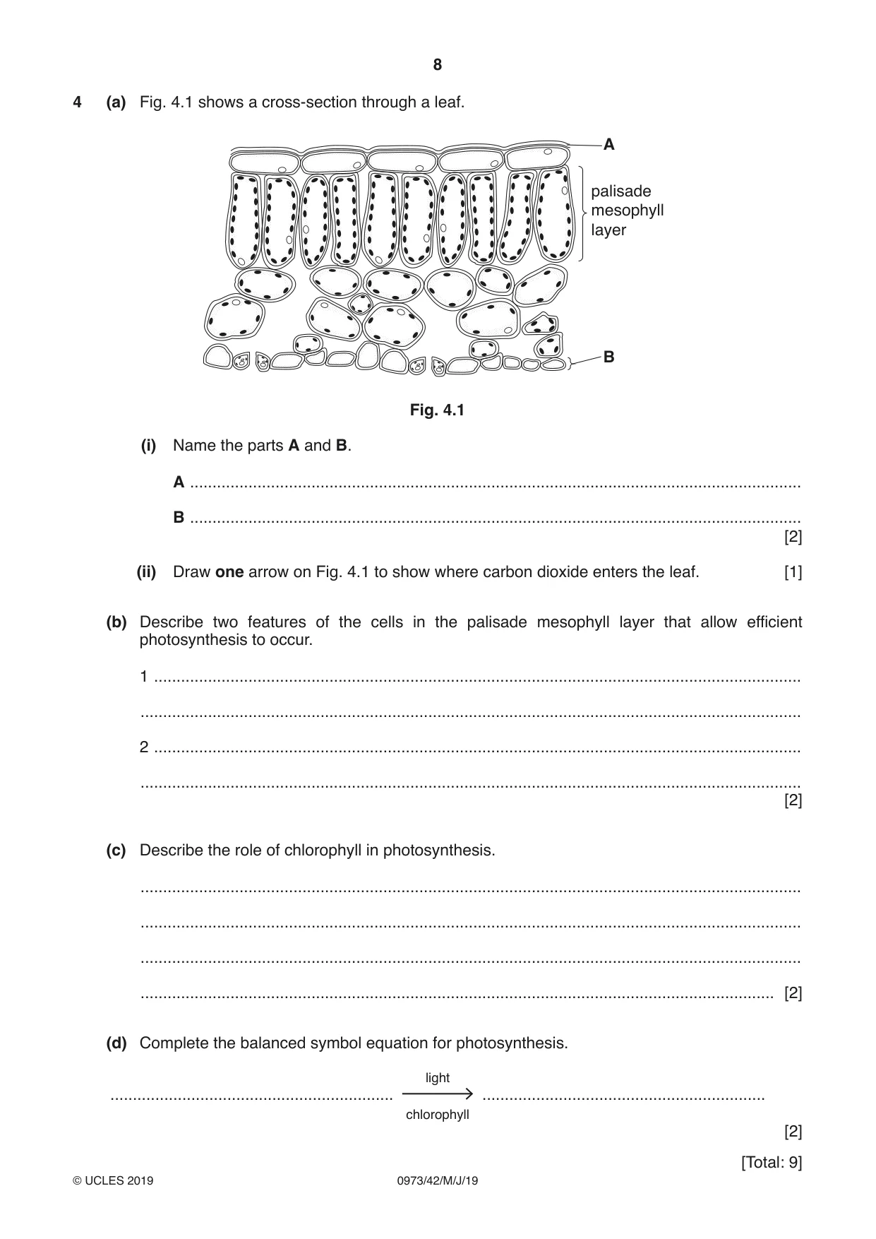Cambridge IGCSE Sciences - Co-ordinated (9-1) 0973 2019 May/June Paper 4 · Variant 2 question paper, page 8 of 28