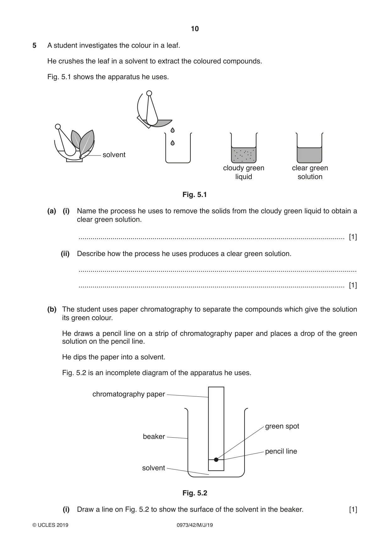 Cambridge IGCSE Sciences - Co-ordinated (9-1) 0973 2019 May/June Paper 4 · Variant 2 question paper, page 10 of 28