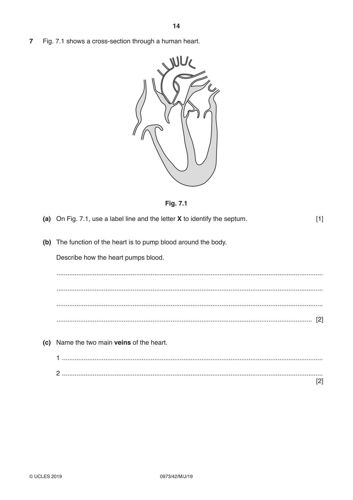 Cambridge IGCSE Sciences - Co-ordinated (9-1) 0973 2019 May/June Paper 4 · Variant 2 question paper, page 14 of 28