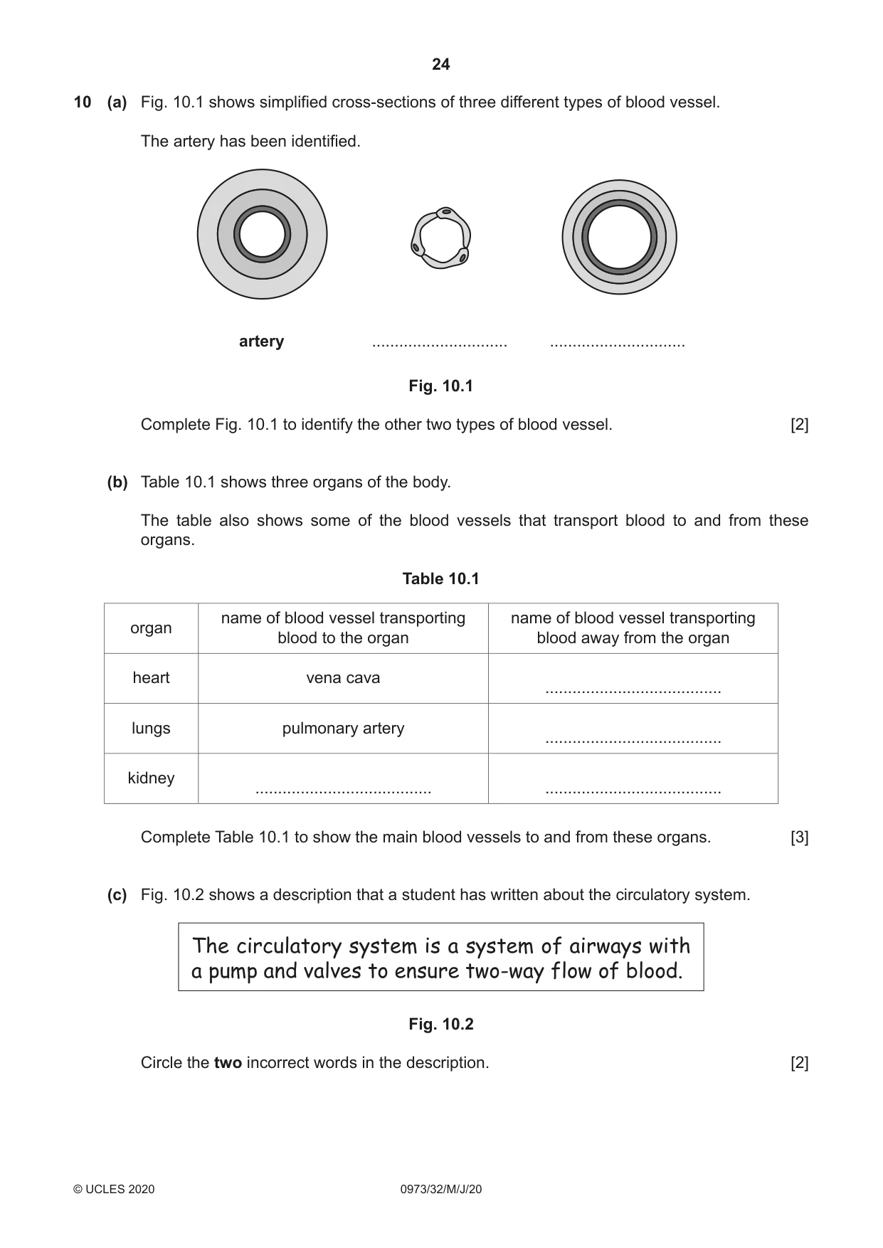 Cambridge IGCSE Sciences - Co-ordinated (9-1) 0973 2020 May/June Paper 3 · Variant 2 question paper, page 24 of 32