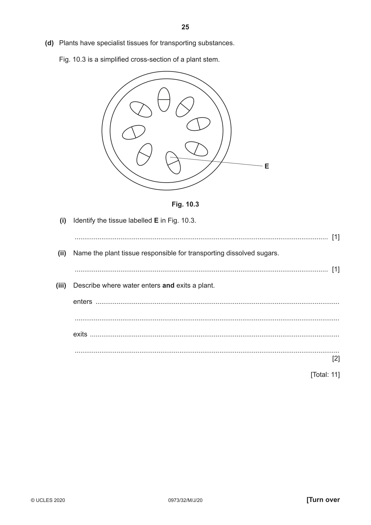 Cambridge IGCSE Sciences - Co-ordinated (9-1) 0973 2020 May/June Paper 3 · Variant 2 question paper, page 25 of 32