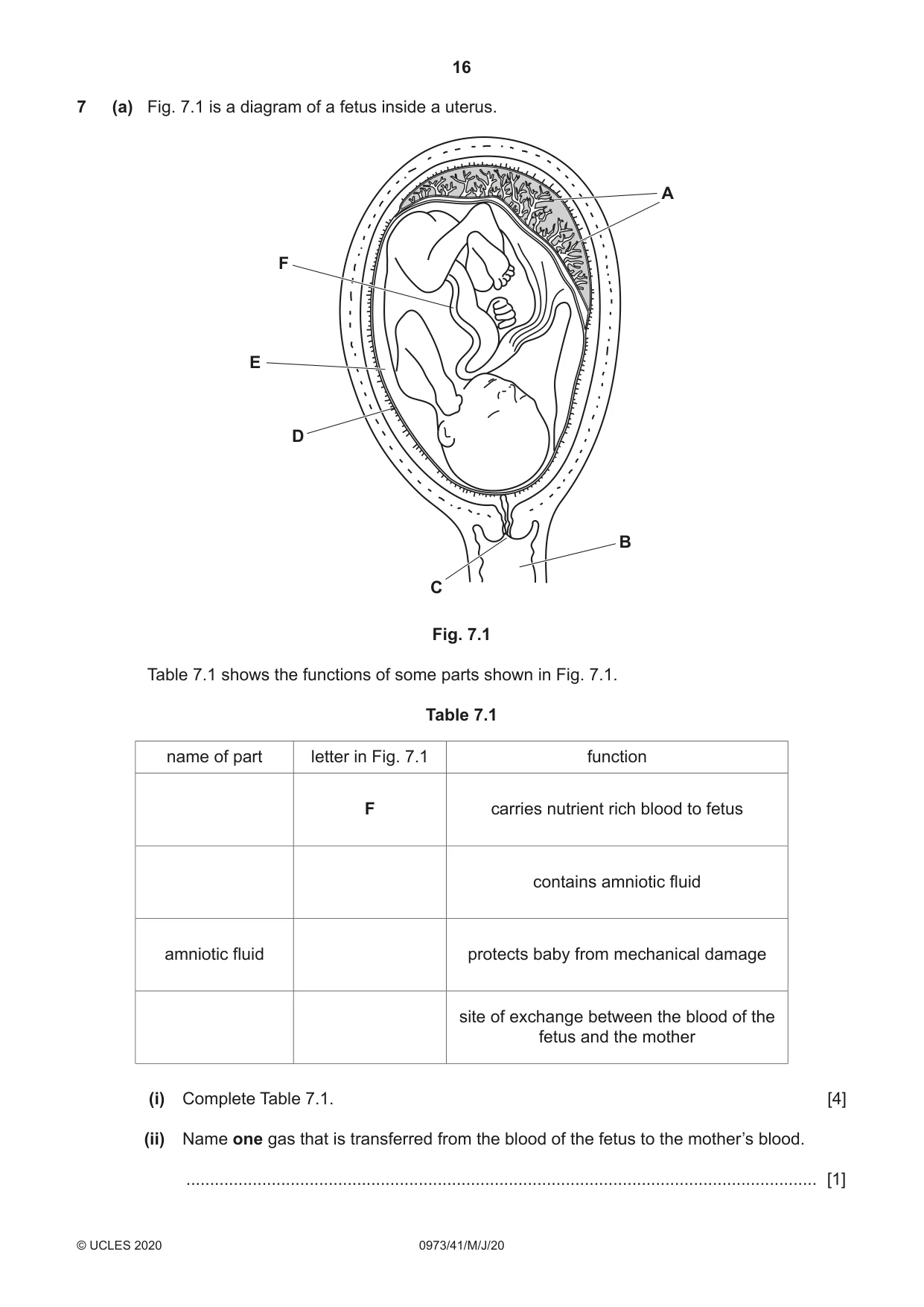Cambridge IGCSE Sciences - Co-ordinated (9-1) 0973 2020 May/June Paper 4 · Variant 1 question paper, page 16 of 32
