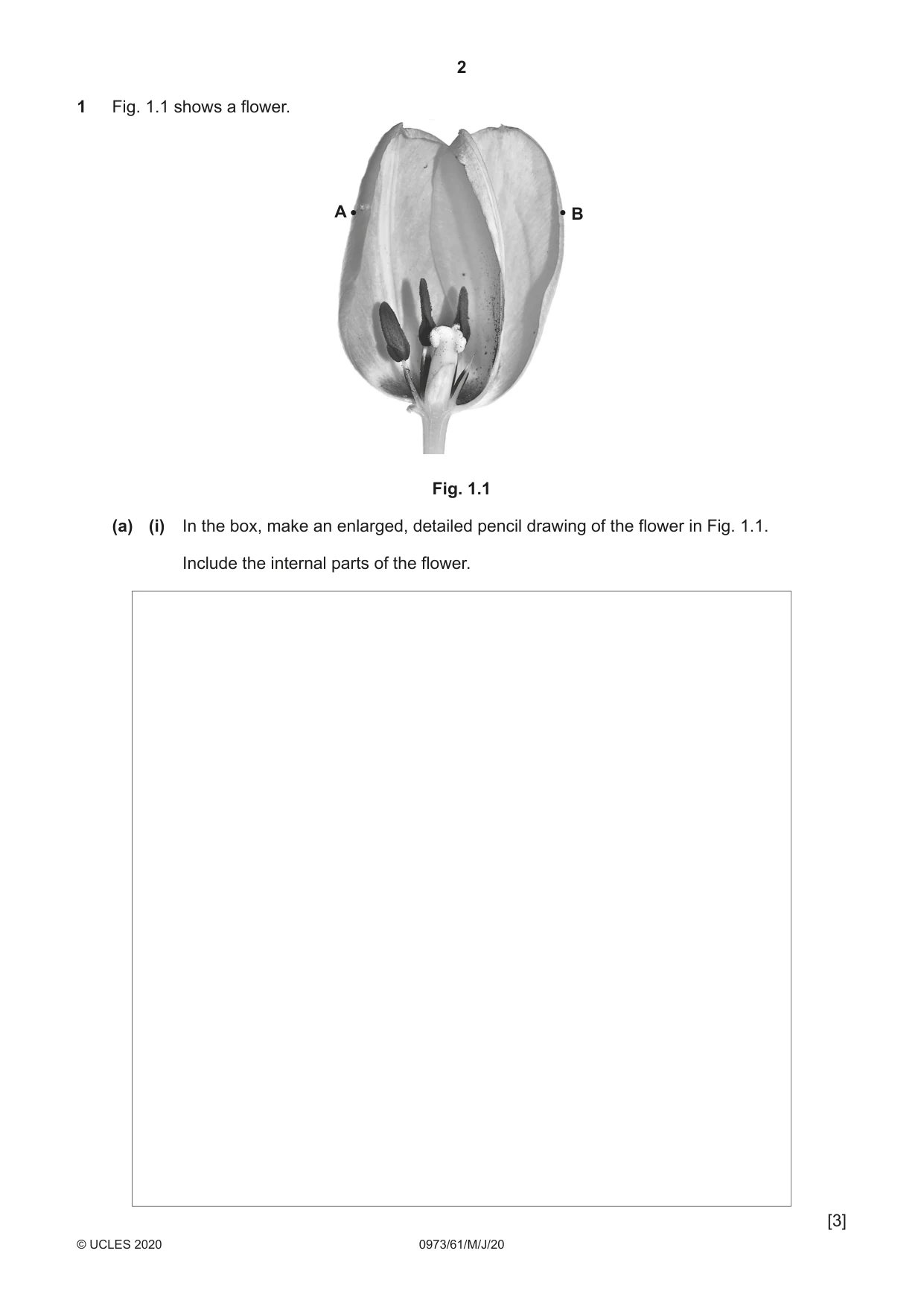 Cambridge IGCSE Sciences - Co-ordinated (9-1) 0973 2020 May/June Paper 6 · Variant 1 question paper, page 2 of 16