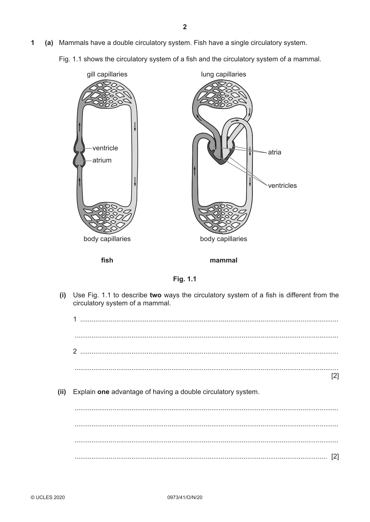 Cambridge IGCSE Sciences - Co-ordinated (9-1) 0973 2020 Oct/Nov Paper 4 · Variant 1 question paper, page 2 of 28