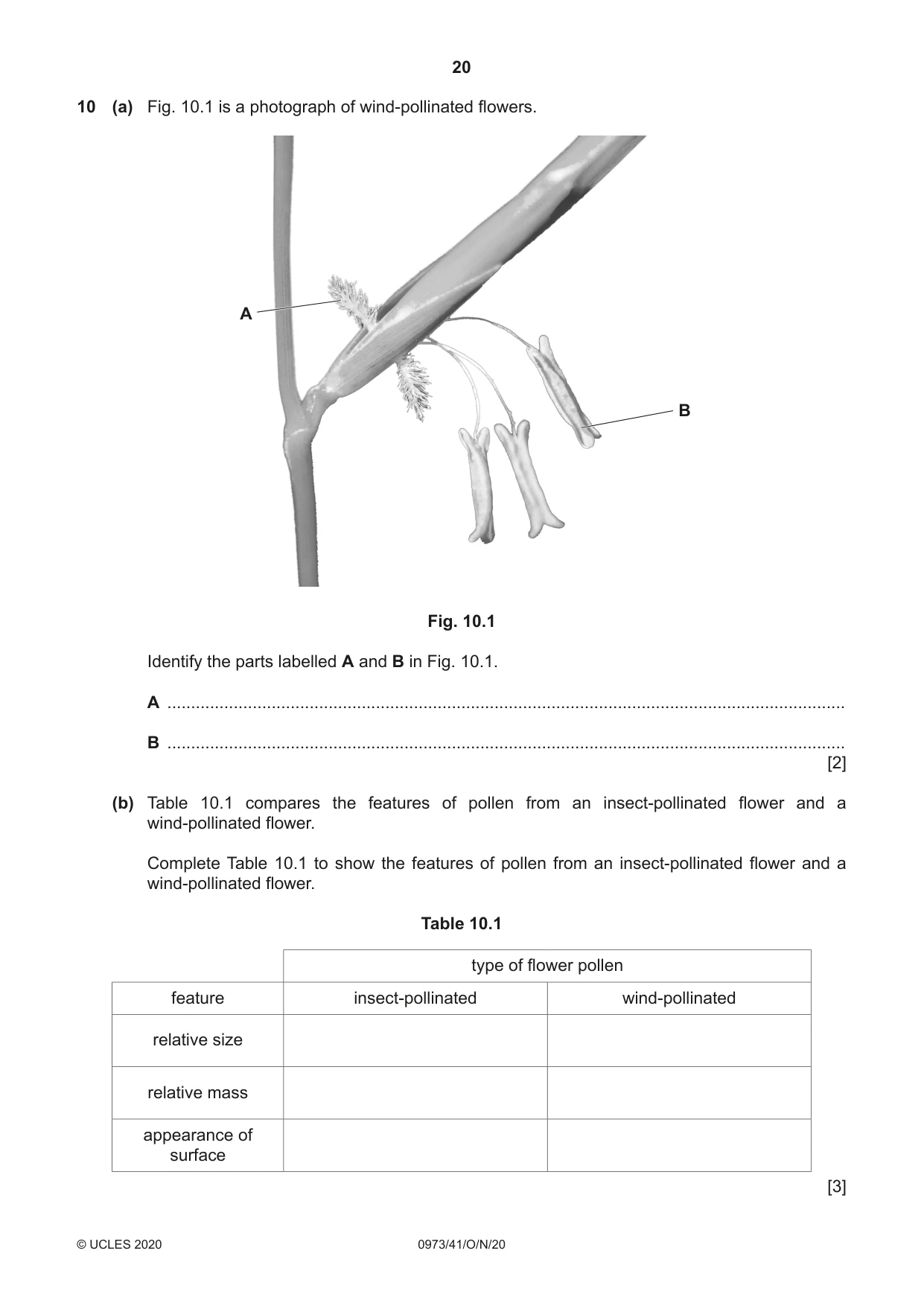Cambridge IGCSE Sciences - Co-ordinated (9-1) 0973 2020 Oct/Nov Paper 4 · Variant 1 question paper, page 20 of 28