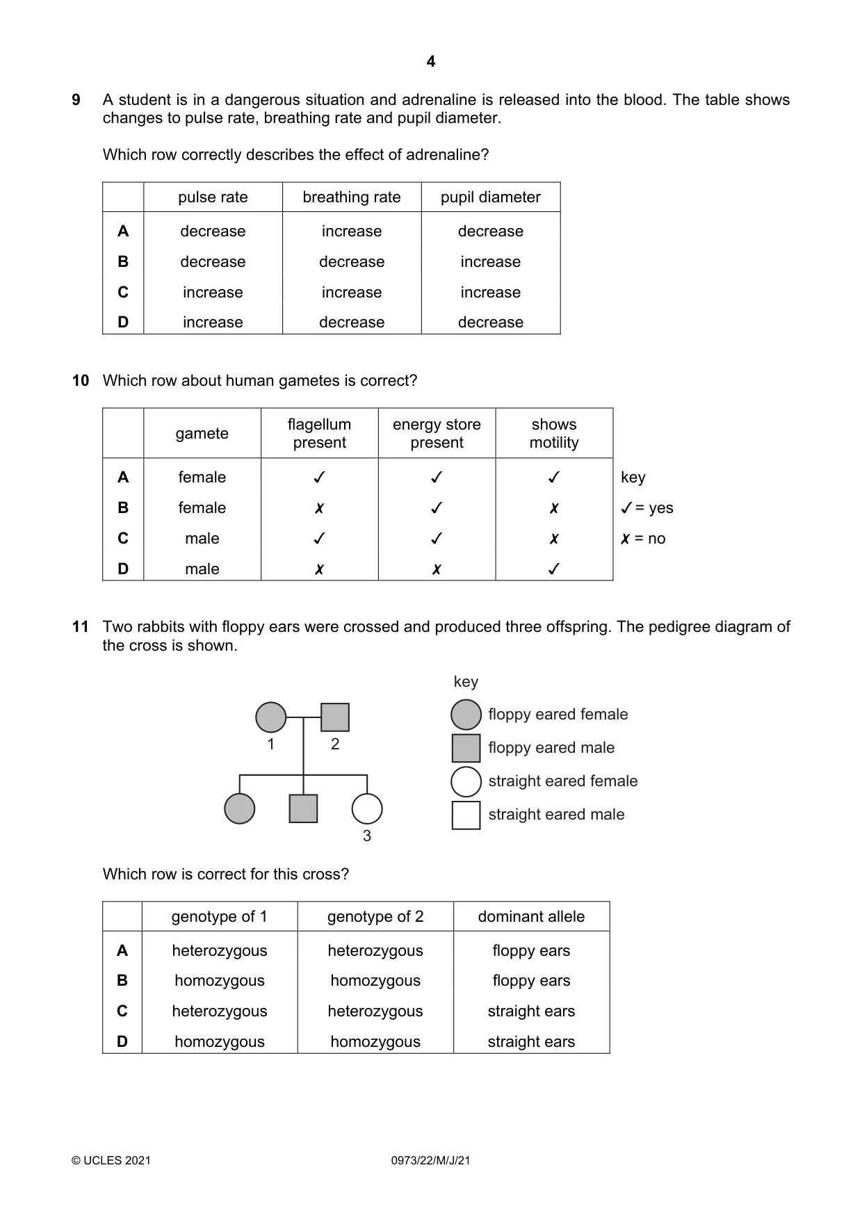 Cambridge IGCSE Sciences - Co-ordinated (9-1) 0973 2021 May/June Paper 2 · Variant 2 question paper, page 4 of 16