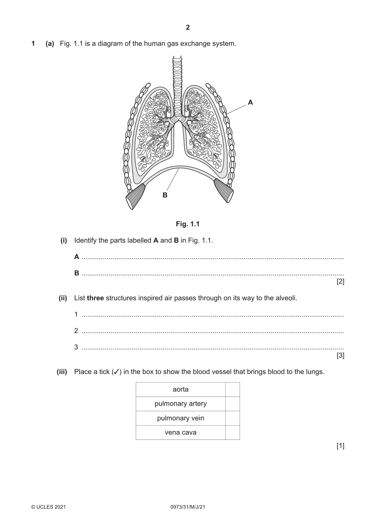 Cambridge IGCSE Sciences - Co-ordinated (9-1) 0973 2021 May/June Paper 3 · Variant 1 question paper, page 2 of 28