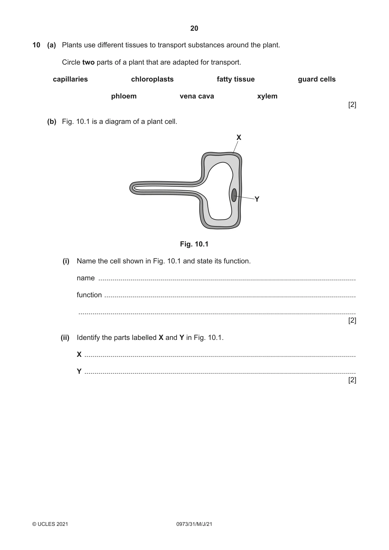 Cambridge IGCSE Sciences - Co-ordinated (9-1) 0973 2021 May/June Paper 3 · Variant 1 question paper, page 20 of 28