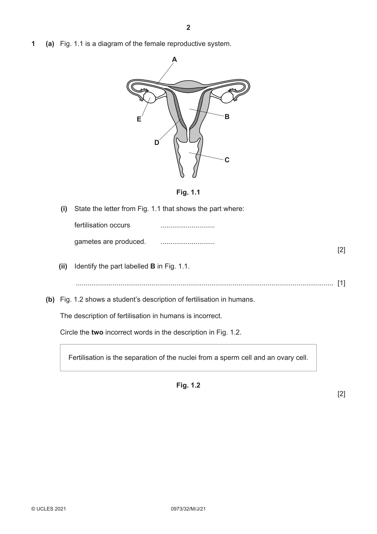Cambridge IGCSE Sciences - Co-ordinated (9-1) 0973 2021 May/June Paper 3 · Variant 2 question paper, page 2 of 28