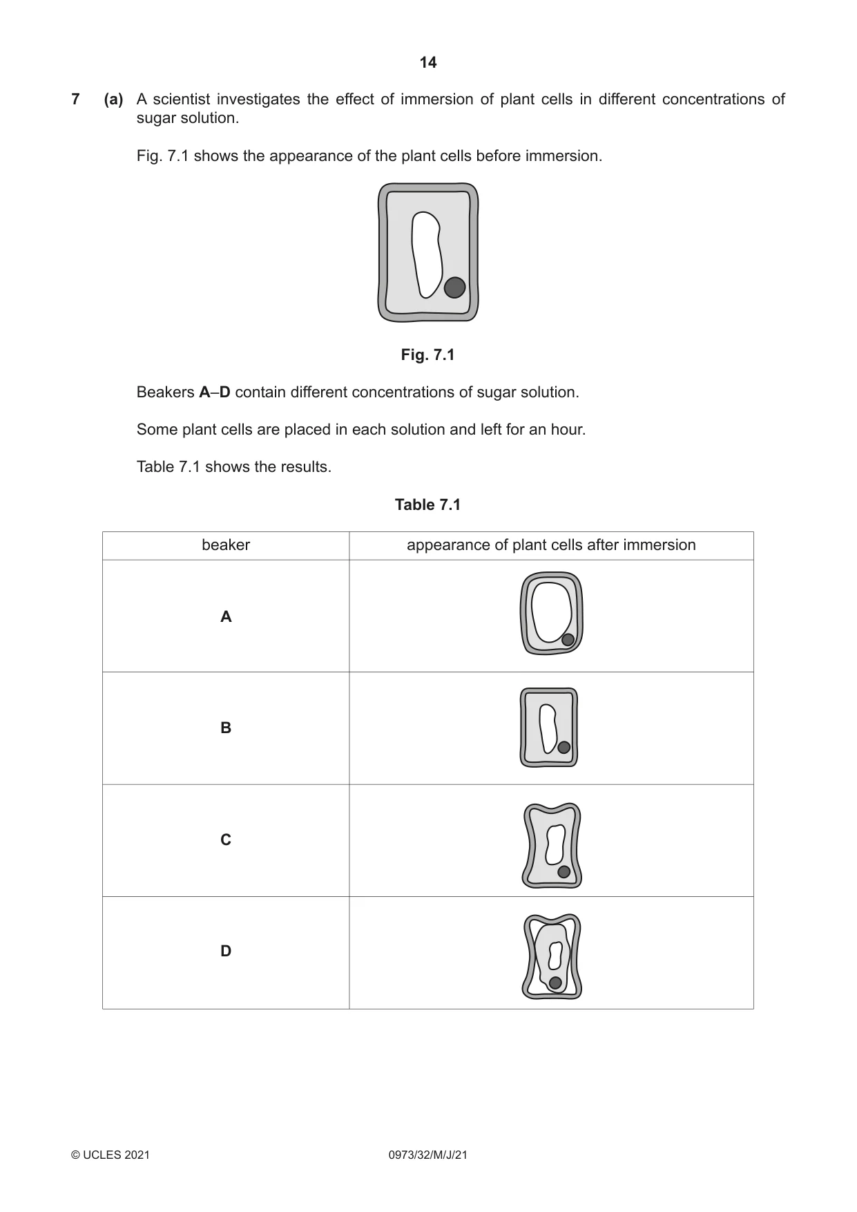 Cambridge IGCSE Sciences - Co-ordinated (9-1) 0973 2021 May/June Paper 3 · Variant 2 question paper, page 14 of 28