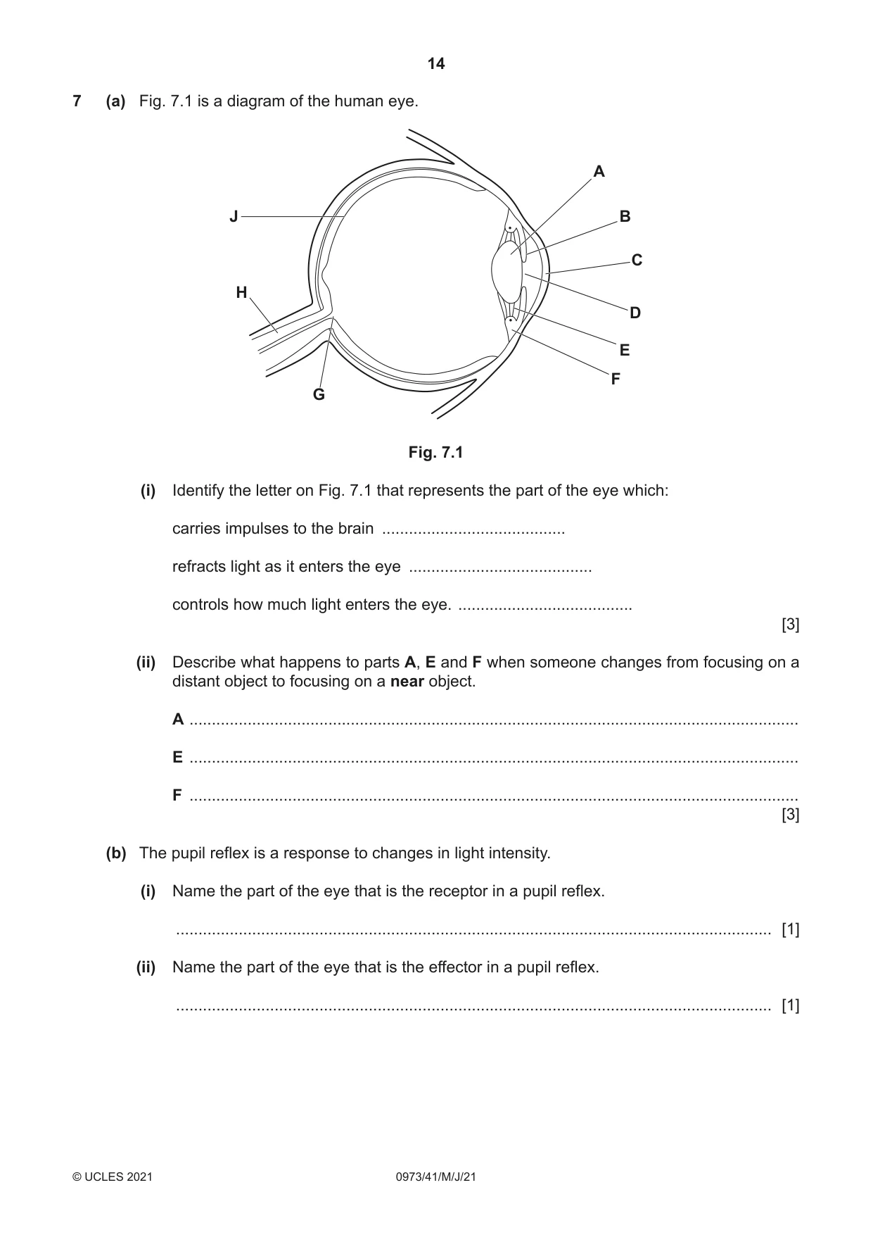 Cambridge IGCSE Sciences - Co-ordinated (9-1) 0973 2021 May/June Paper 4 · Variant 1 question paper, page 14 of 28