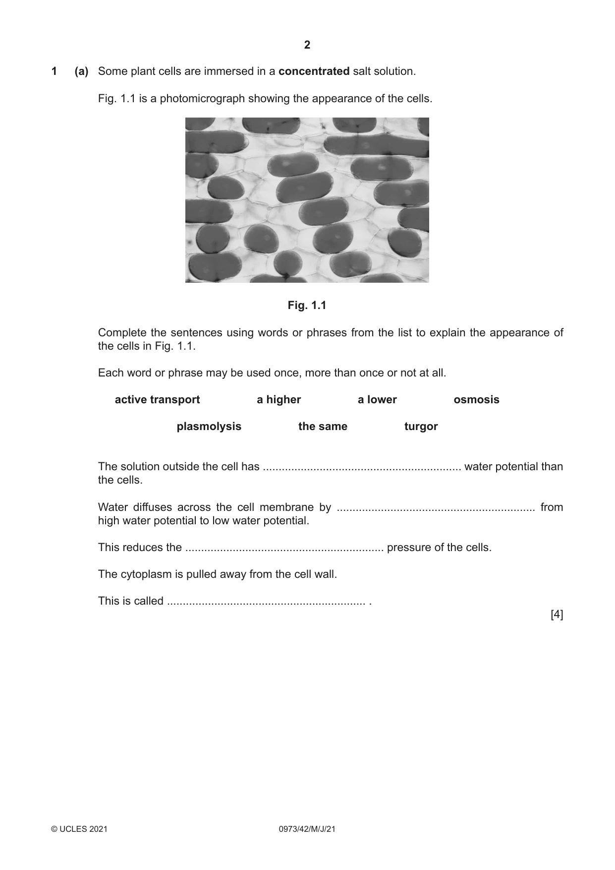 Cambridge IGCSE Sciences - Co-ordinated (9-1) 0973 2021 May/June Paper 4 · Variant 2 question paper, page 2 of 28