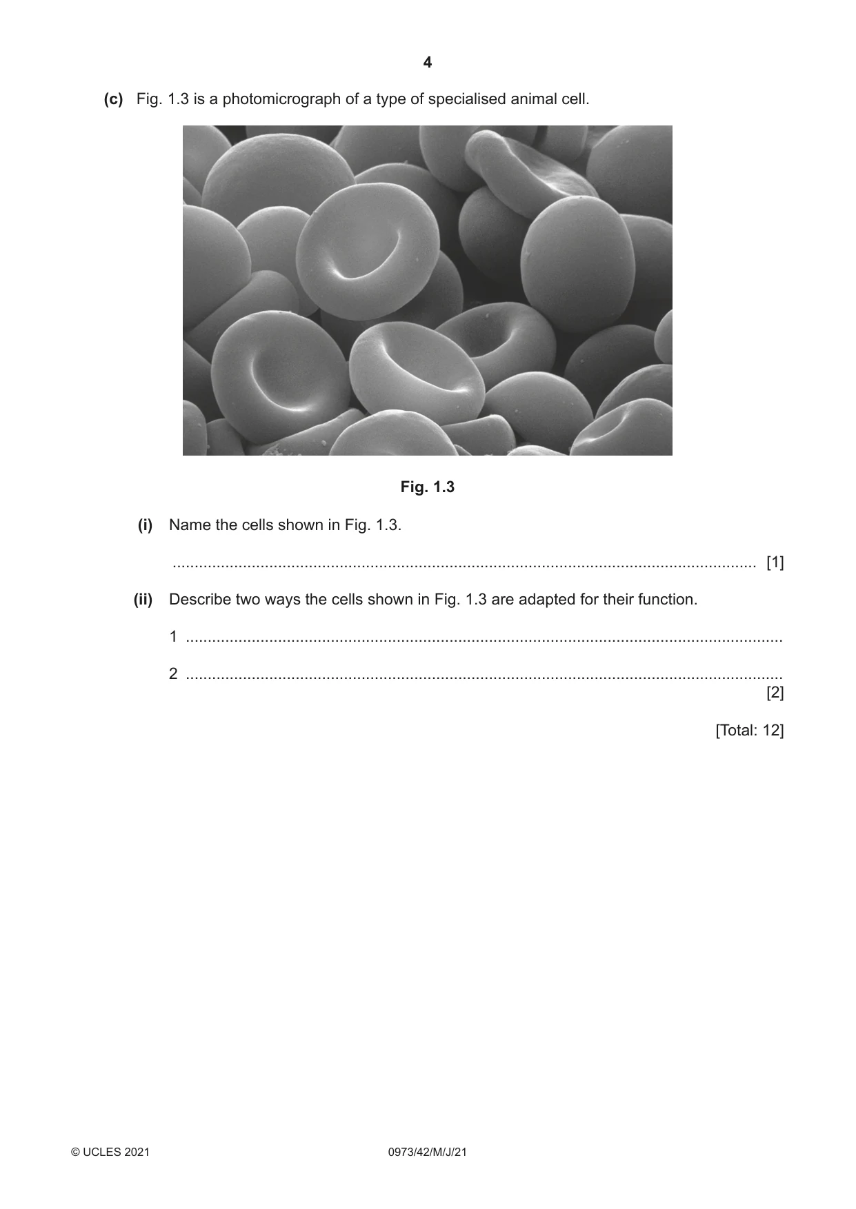 Cambridge IGCSE Sciences - Co-ordinated (9-1) 0973 2021 May/June Paper 4 · Variant 2 question paper, page 4 of 28