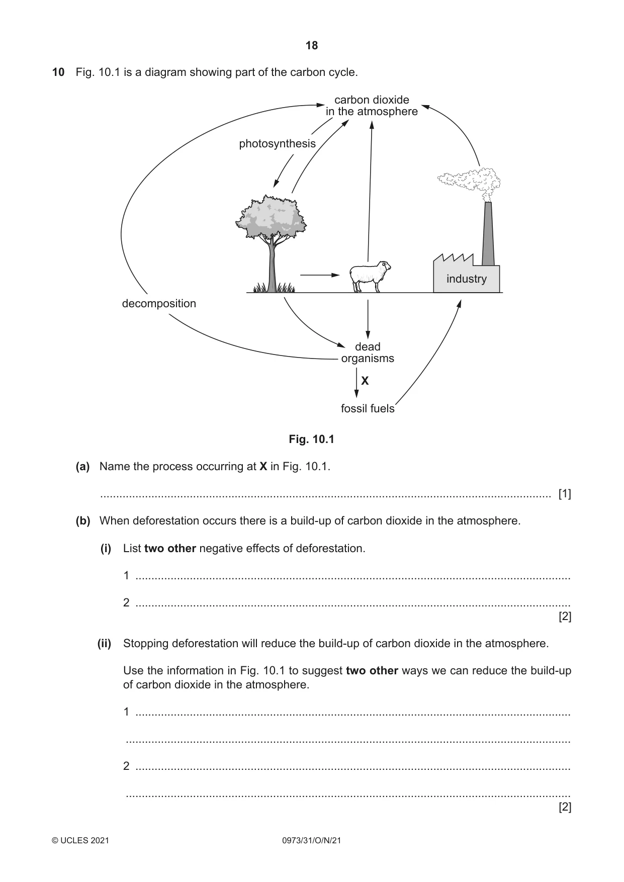 Cambridge IGCSE Sciences - Co-ordinated (9-1) 0973 2021 Oct/Nov Paper 3 · Variant 1 question paper, page 18 of 24