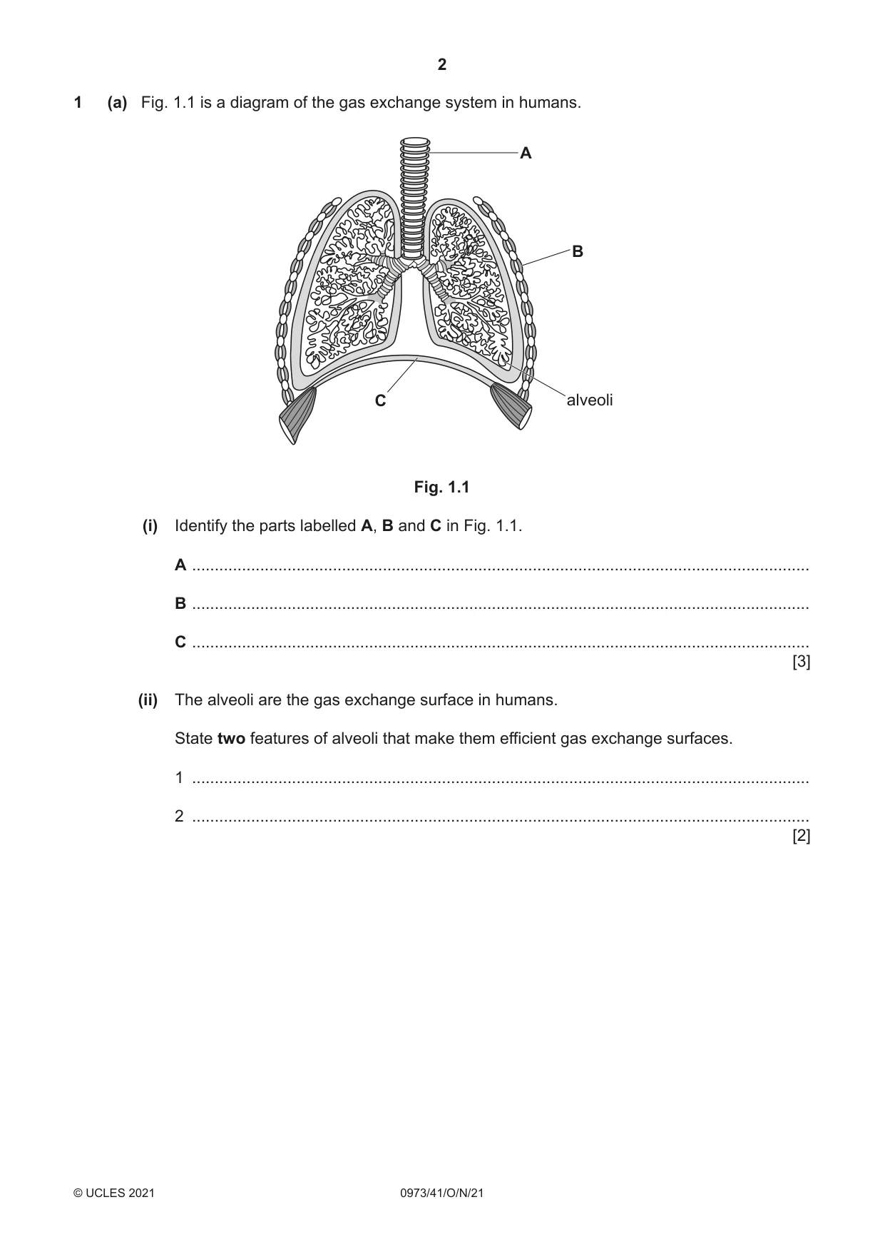 Cambridge IGCSE Sciences - Co-ordinated (9-1) 0973 2021 Oct/Nov Paper 4 · Variant 1 question paper, page 2 of 28