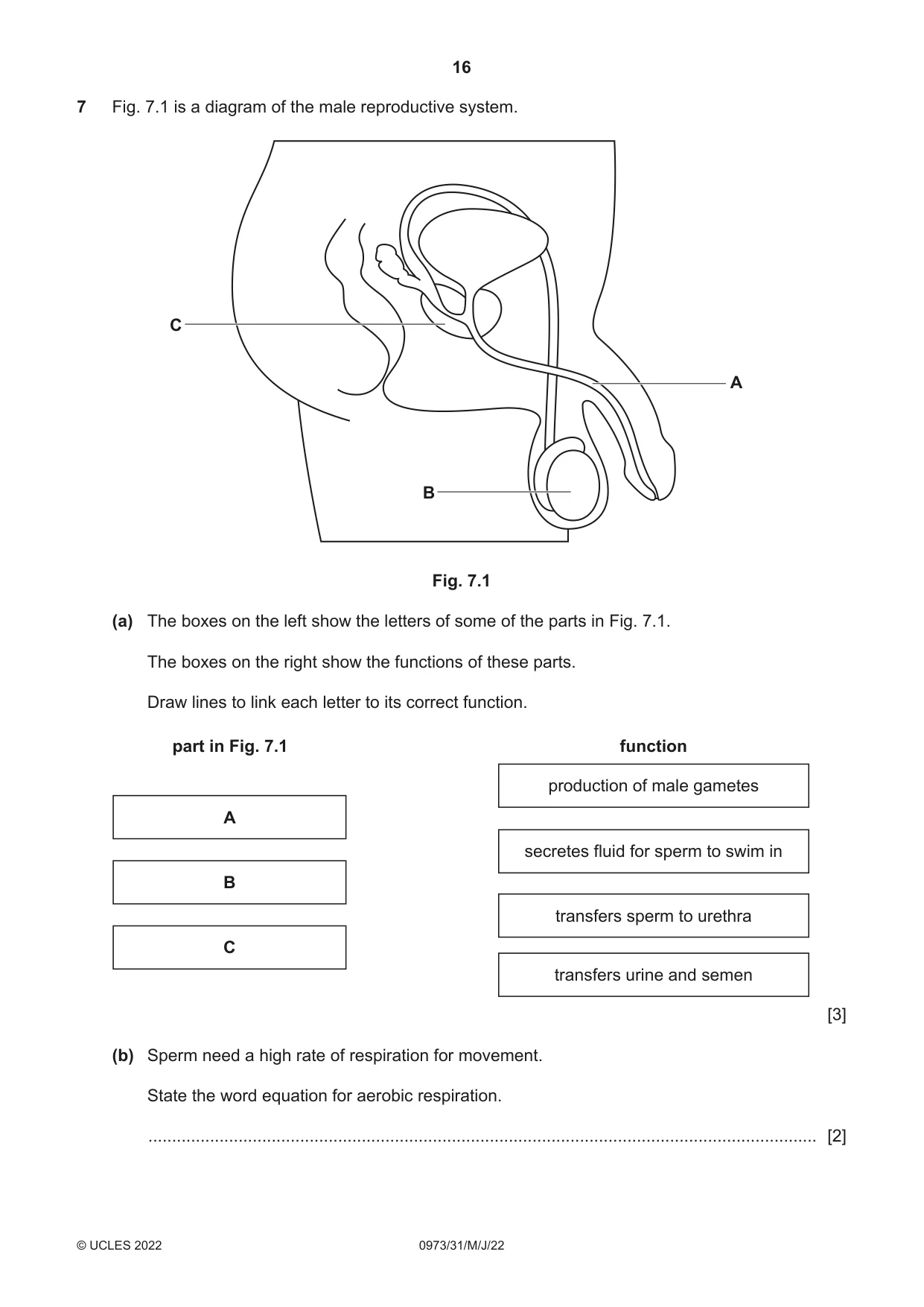 Cambridge IGCSE Sciences - Co-ordinated (9-1) 0973 2022 May/June Paper 3 · Variant 1 question paper, page 16 of 28