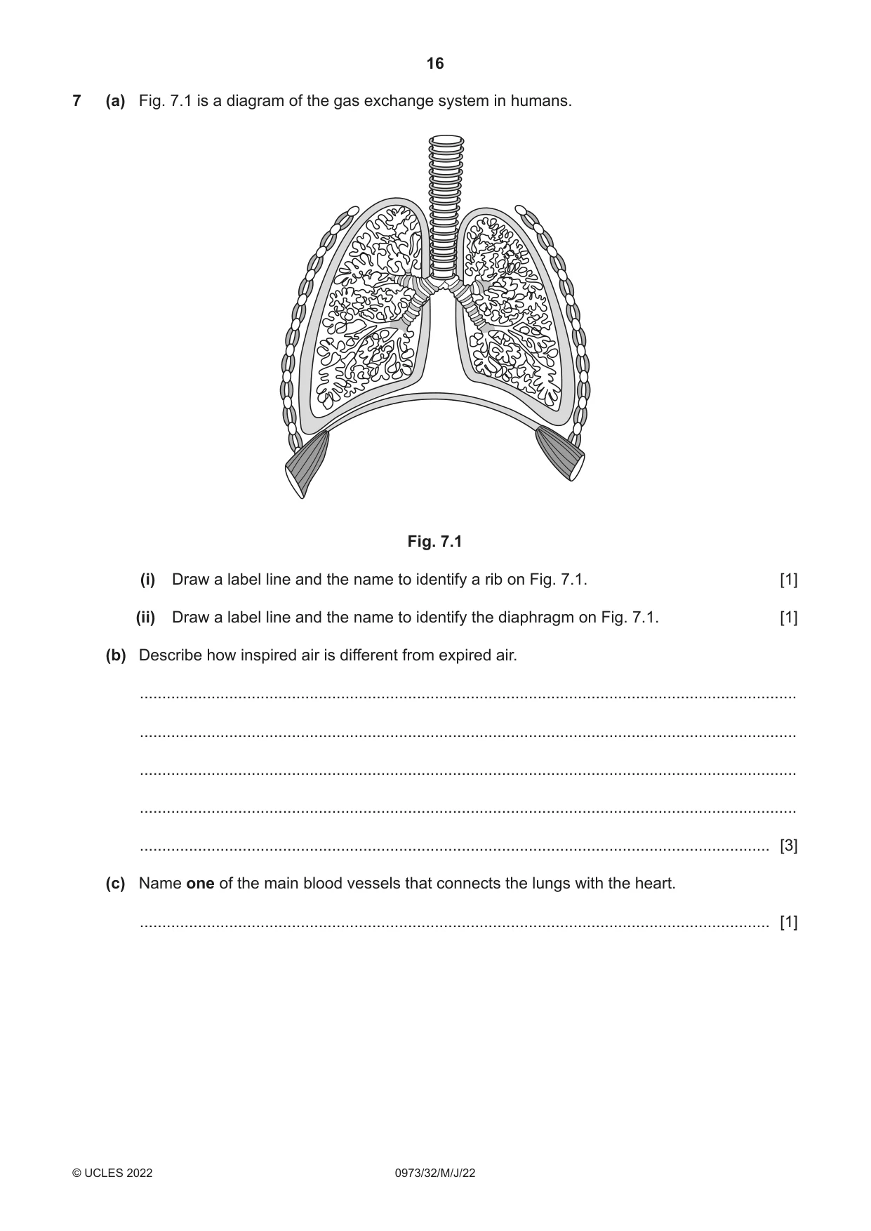 Cambridge IGCSE Sciences - Co-ordinated (9-1) 0973 2022 May/June Paper 3 · Variant 2 question paper, page 16 of 32
