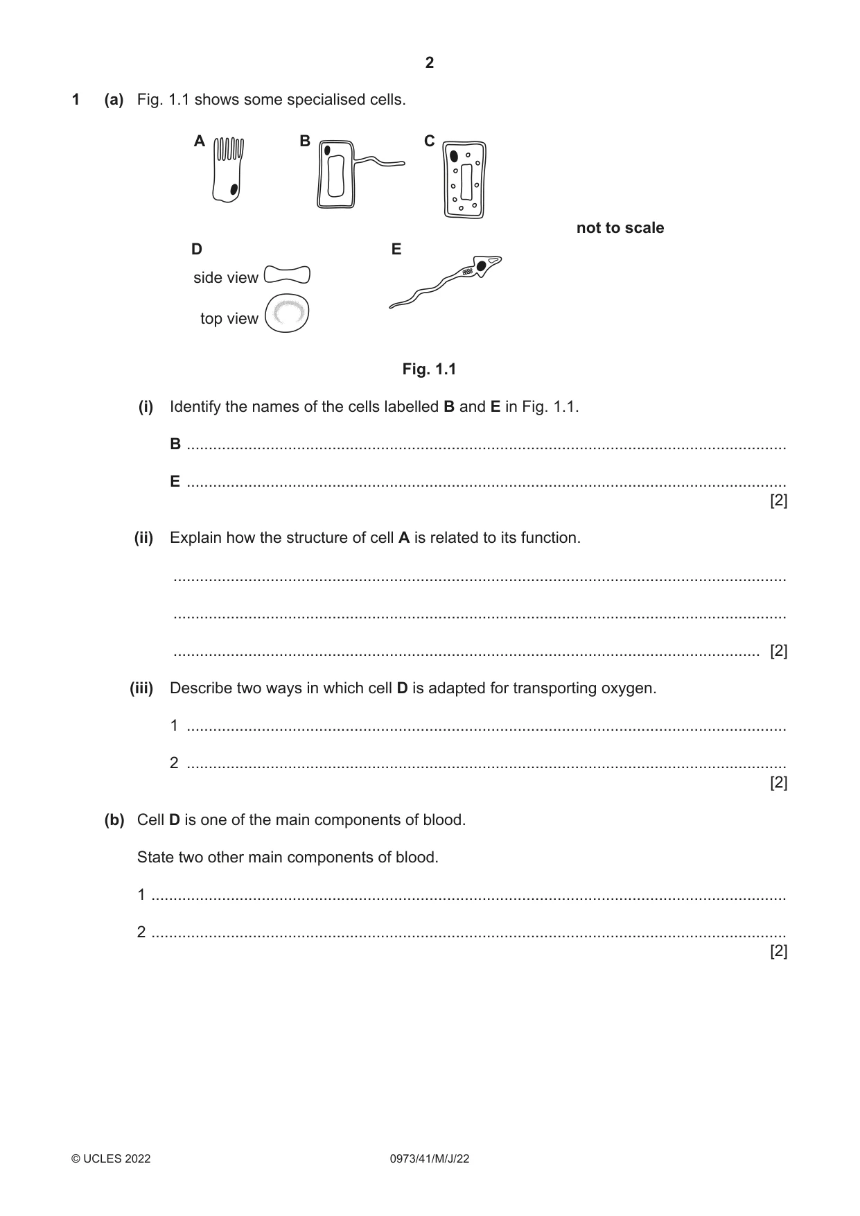 Cambridge IGCSE Sciences - Co-ordinated (9-1) 0973 2022 May/June Paper 4 · Variant 1 question paper, page 2 of 36