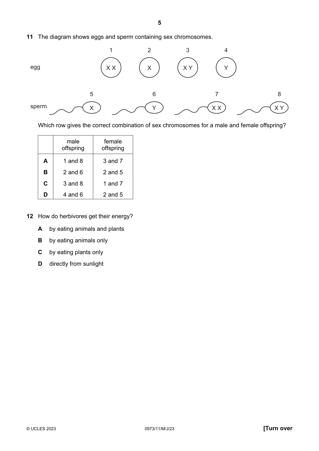 Cambridge IGCSE Sciences - Co-ordinated (9-1) 0973 2023 May/June Paper 1 · Variant 1 question paper, page 5 of 16