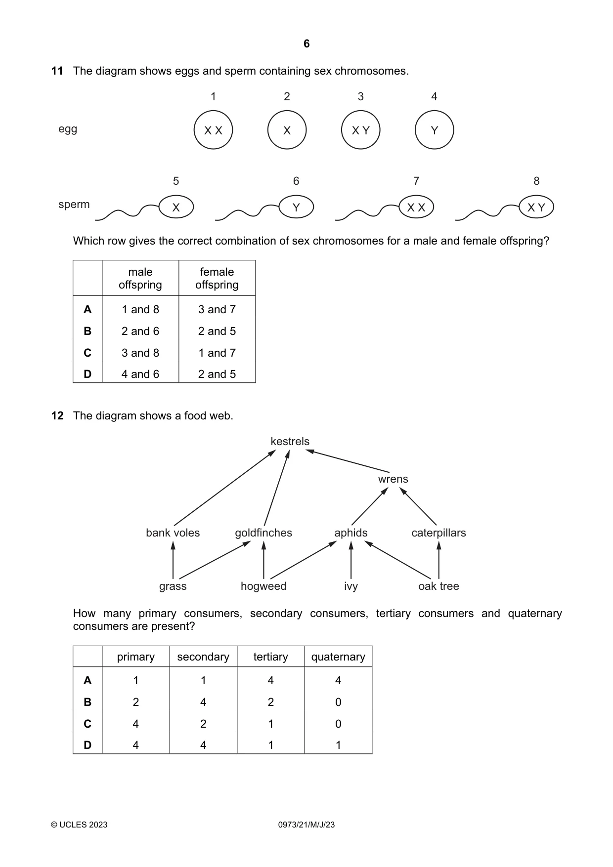 Cambridge IGCSE Sciences - Co-ordinated (9-1) 0973 2023 May/June Paper 2 · Variant 1 question paper, page 6 of 16