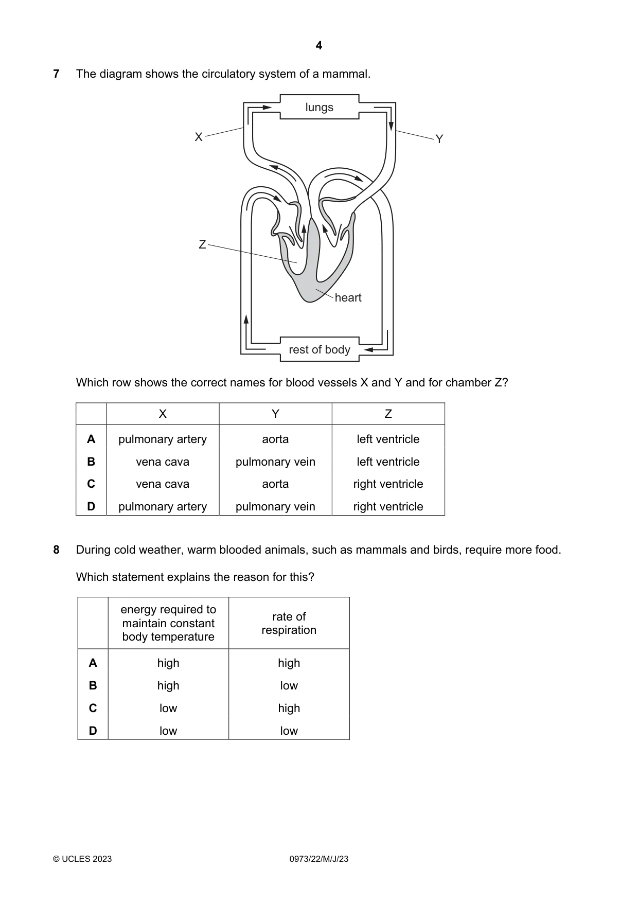Cambridge IGCSE Sciences - Co-ordinated (9-1) 0973 2023 May/June Paper 2 · Variant 2 question paper, page 4 of 16