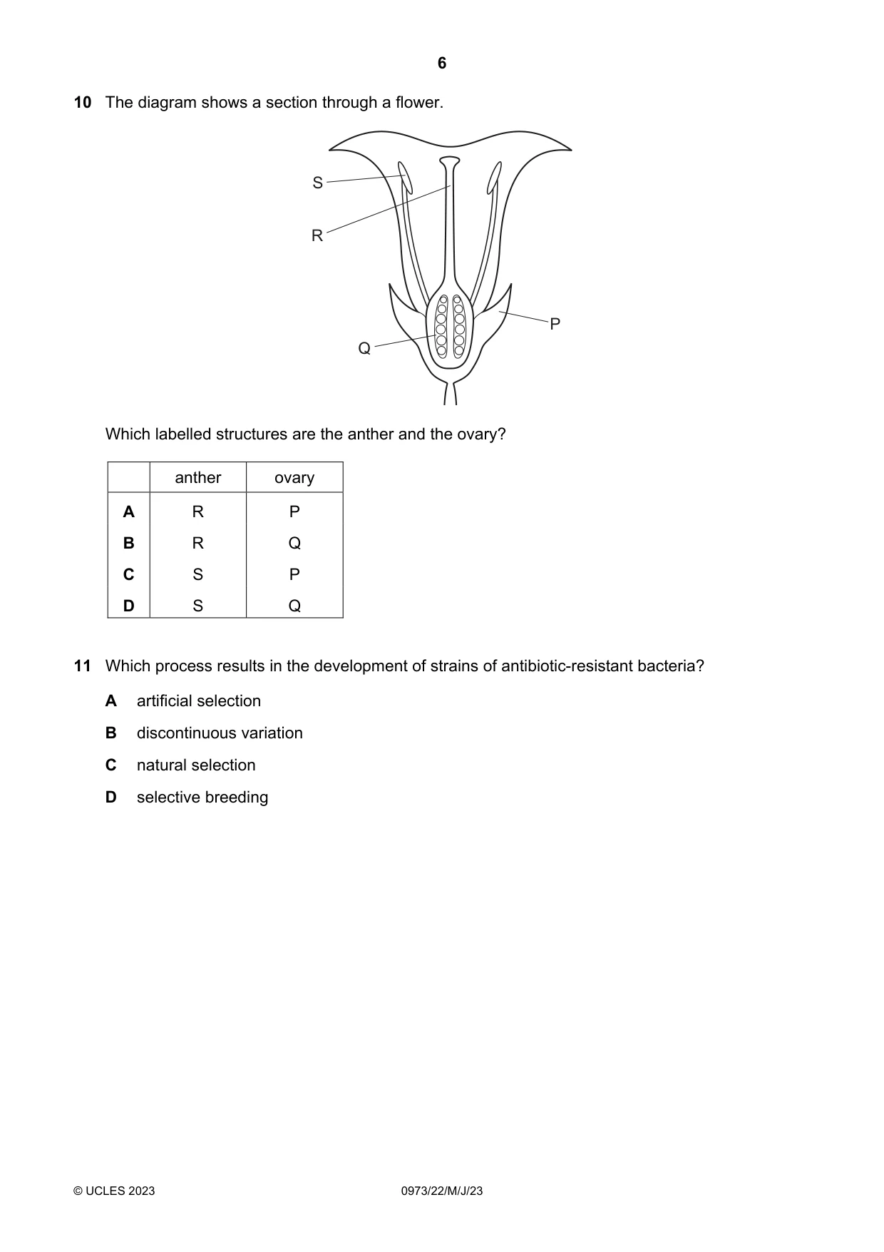 Cambridge IGCSE Sciences - Co-ordinated (9-1) 0973 2023 May/June Paper 2 · Variant 2 question paper, page 6 of 16