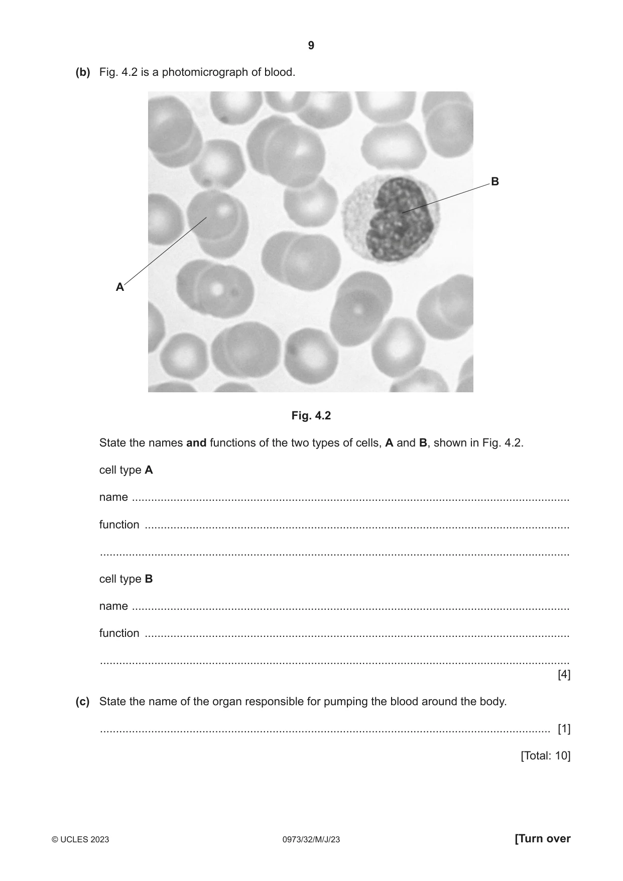 Cambridge IGCSE Sciences - Co-ordinated (9-1) 0973 2023 May/June Paper 3 · Variant 2 question paper, page 9 of 28
