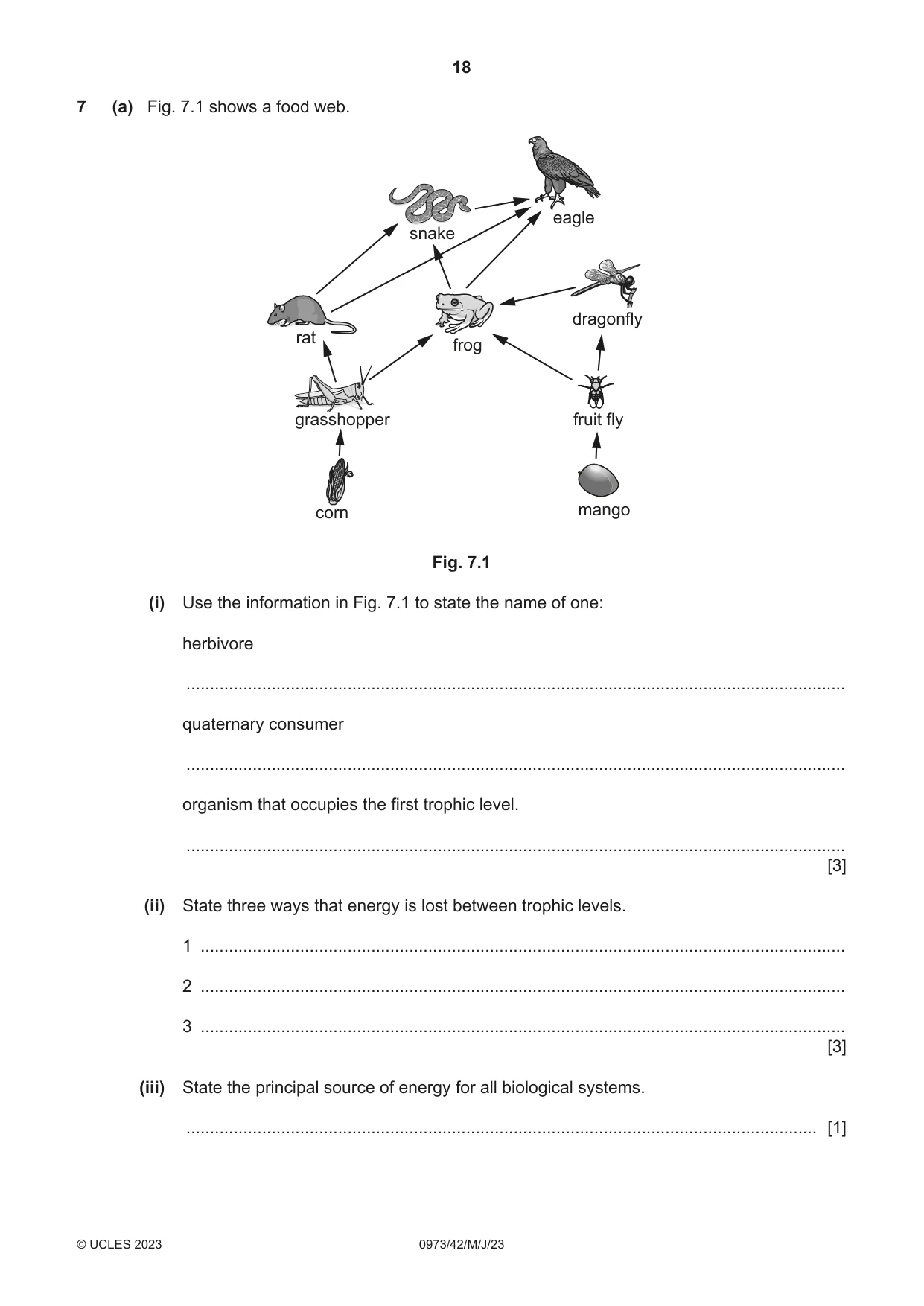 Cambridge IGCSE Sciences - Co-ordinated (9-1) 0973 2023 May/June Paper 4 · Variant 2 question paper, page 18 of 32