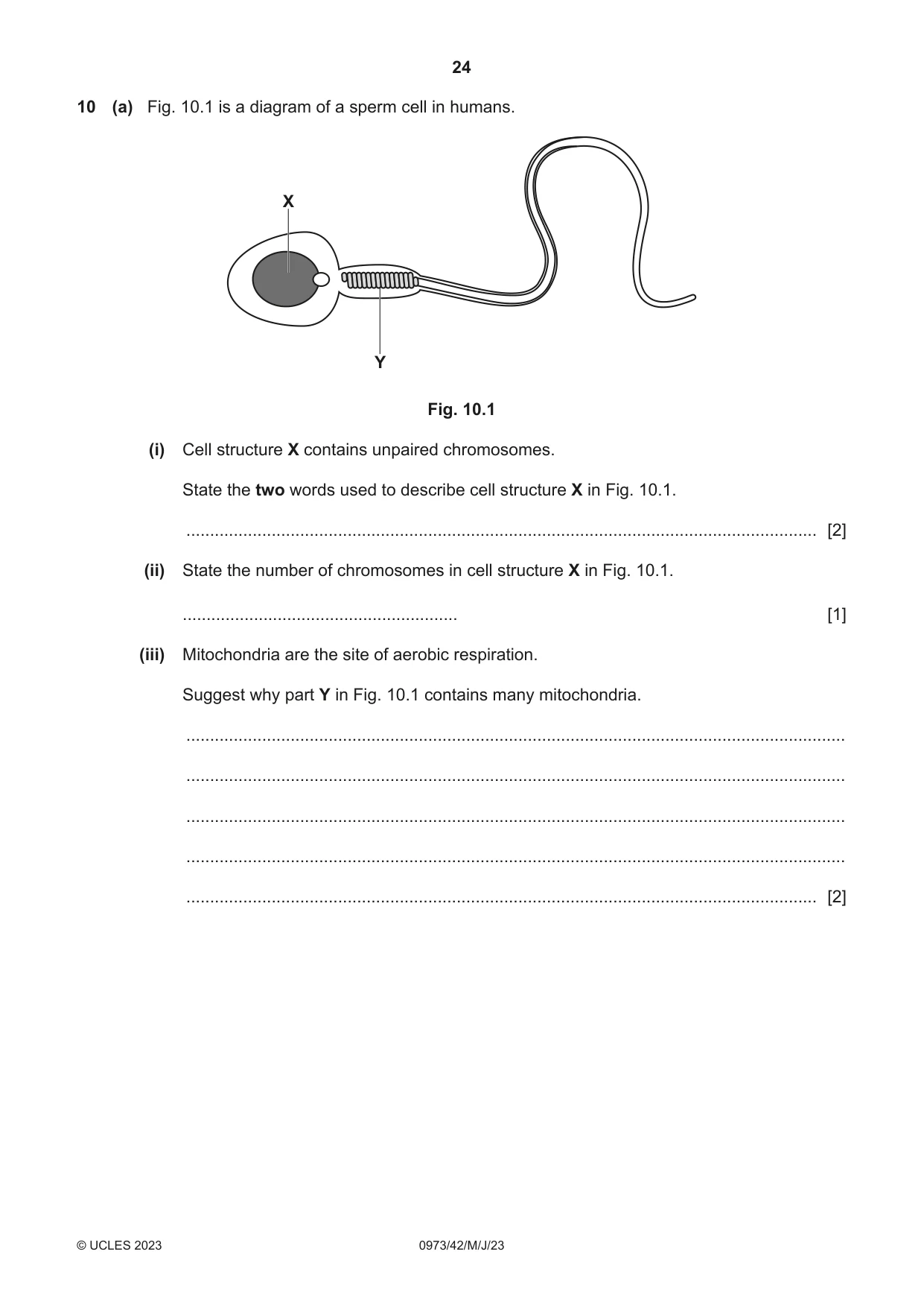 Cambridge IGCSE Sciences - Co-ordinated (9-1) 0973 2023 May/June Paper 4 · Variant 2 question paper, page 24 of 32