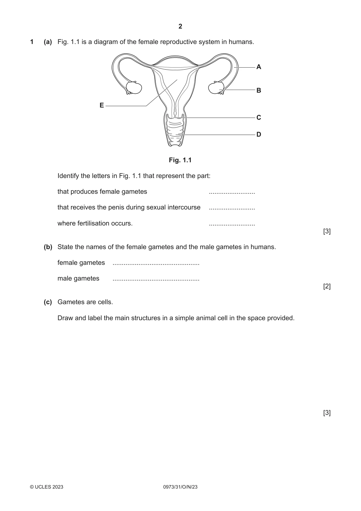 Cambridge IGCSE Sciences - Co-ordinated (9-1) 0973 2023 Oct/Nov Paper 3 · Variant 1 question paper, page 2 of 28