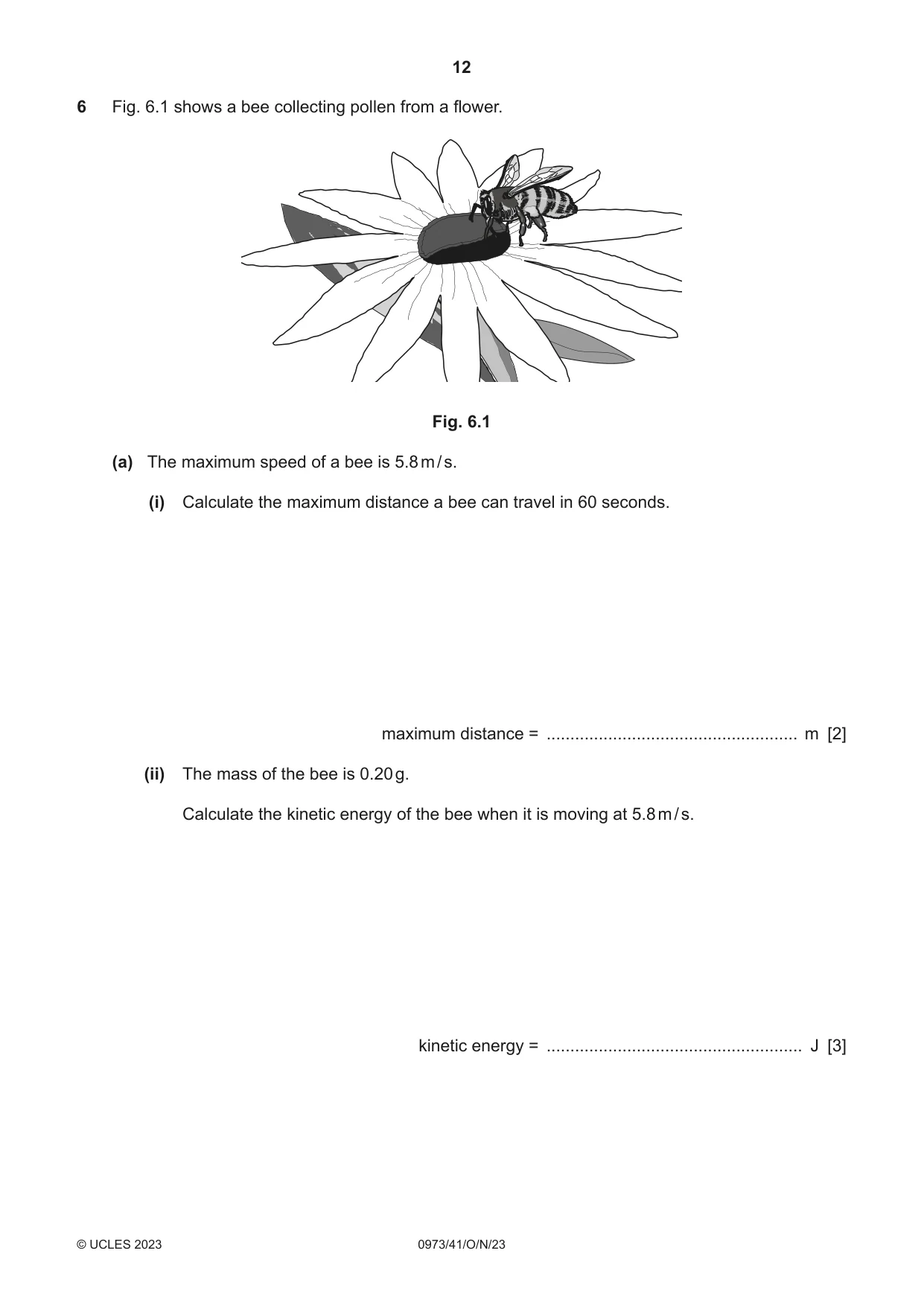 Cambridge IGCSE Sciences - Co-ordinated (9-1) 0973 2023 Oct/Nov Paper 4 · Variant 1 question paper, page 12 of 28