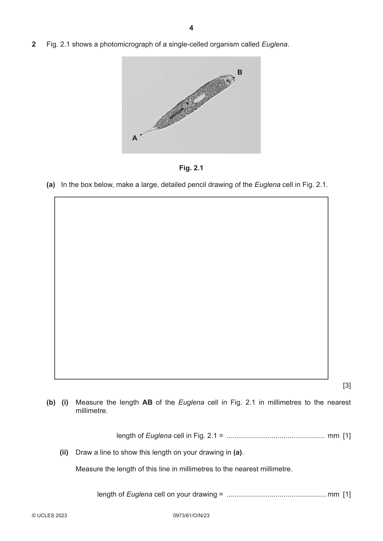 Cambridge IGCSE Sciences - Co-ordinated (9-1) 0973 2023 Oct/Nov Paper 6 · Variant 1 question paper, page 4 of 20