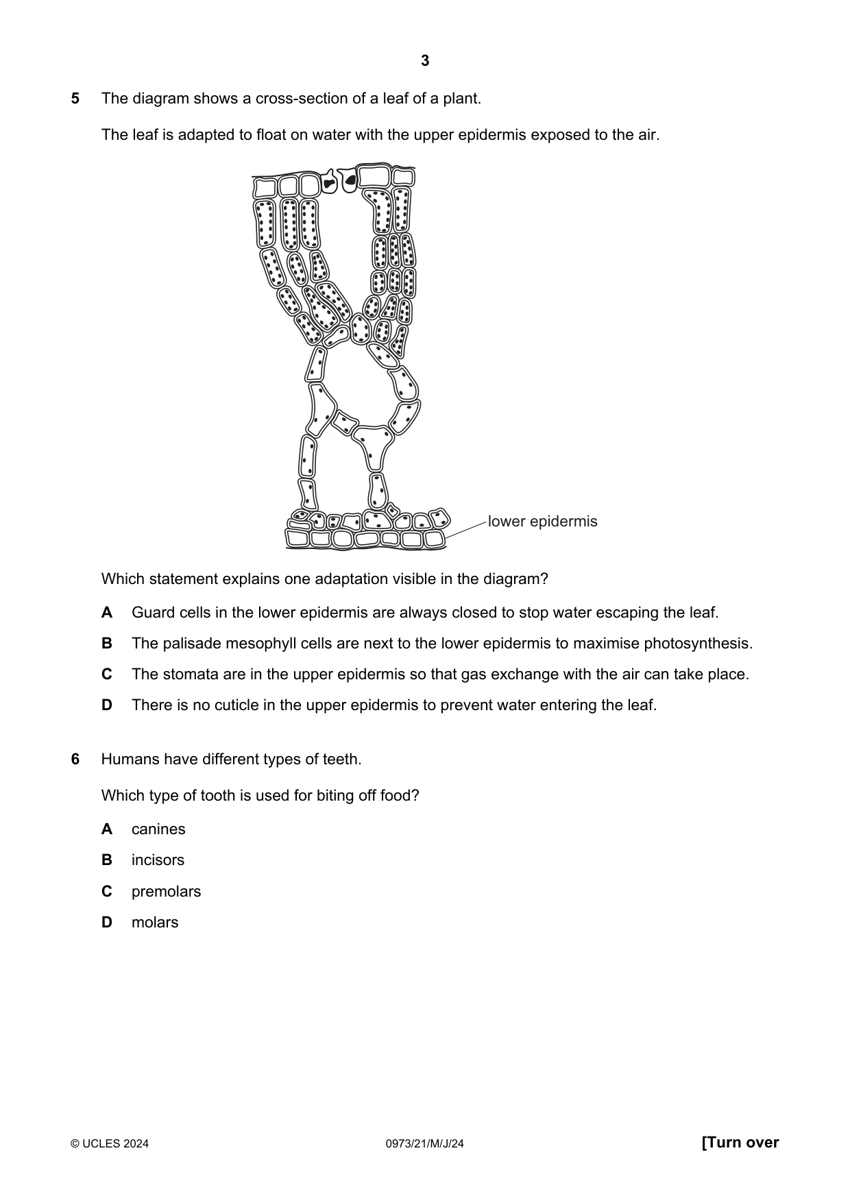 Cambridge IGCSE Sciences - Co-ordinated (9-1) 0973 2024 May/June Paper 2 · Variant 1 question paper, page 3 of 16