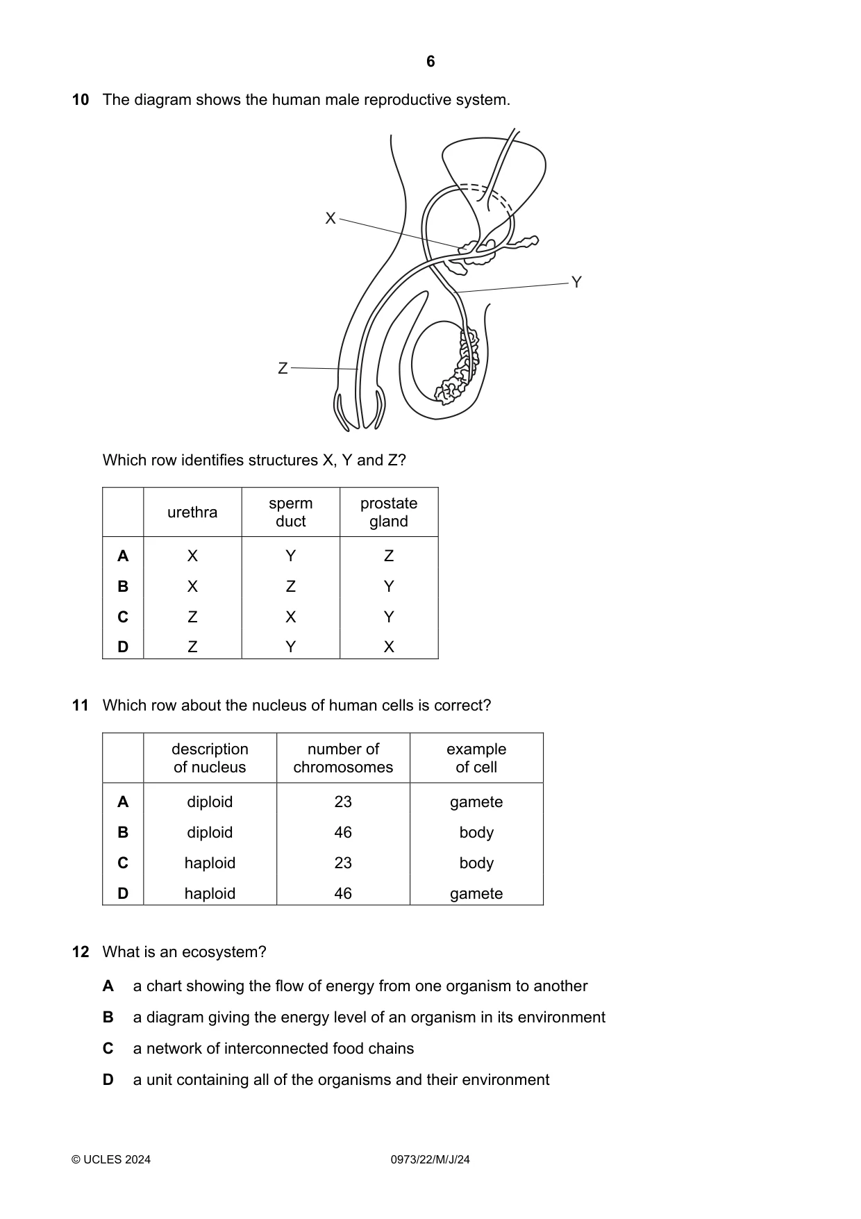 Cambridge IGCSE Sciences - Co-ordinated (9-1) 0973 2024 May/June Paper 2 · Variant 2 question paper, page 6 of 16